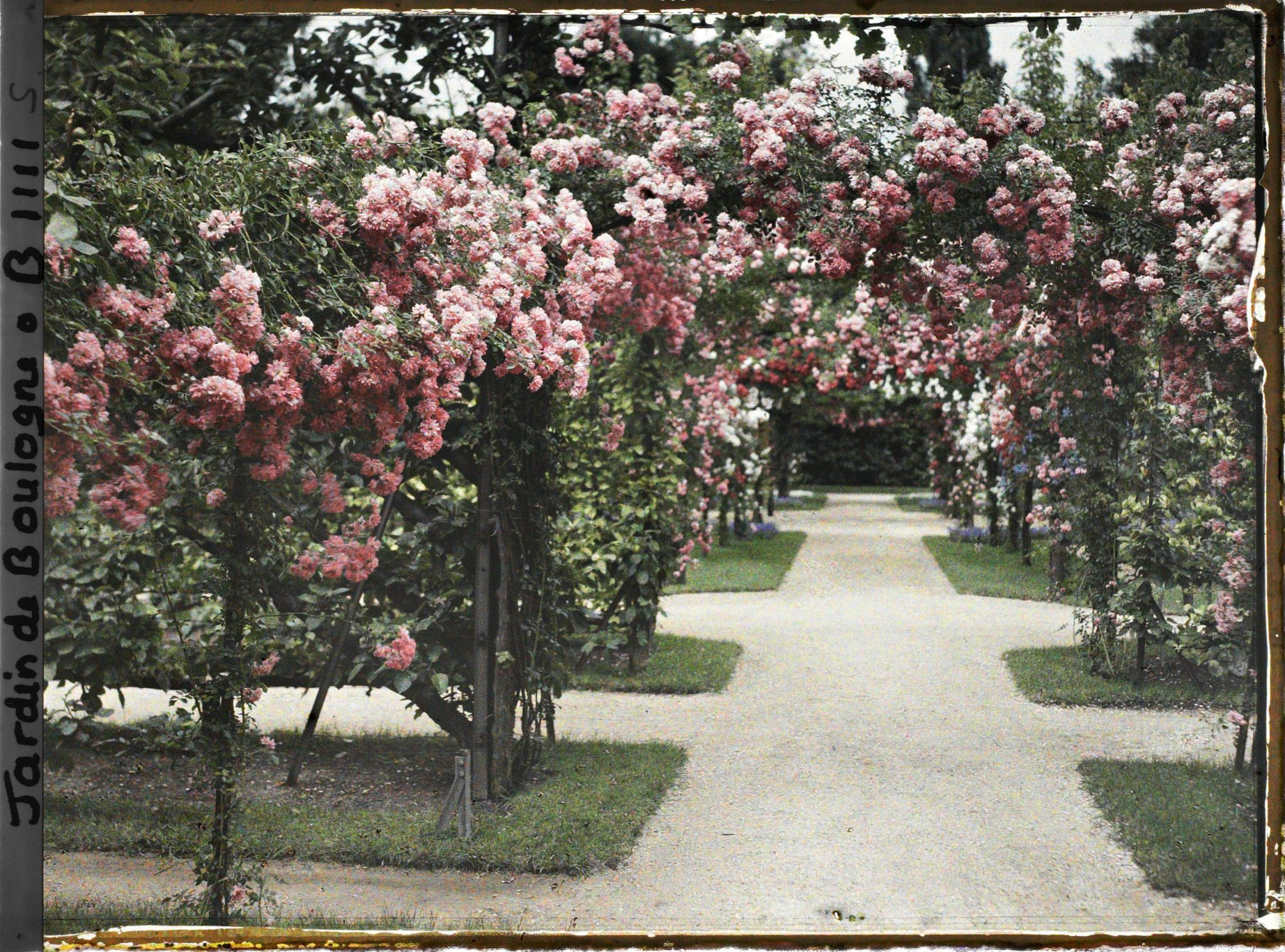Image représentant Axe central du verger-roseraie vu à mi-parcours, en direction de la dépendance
