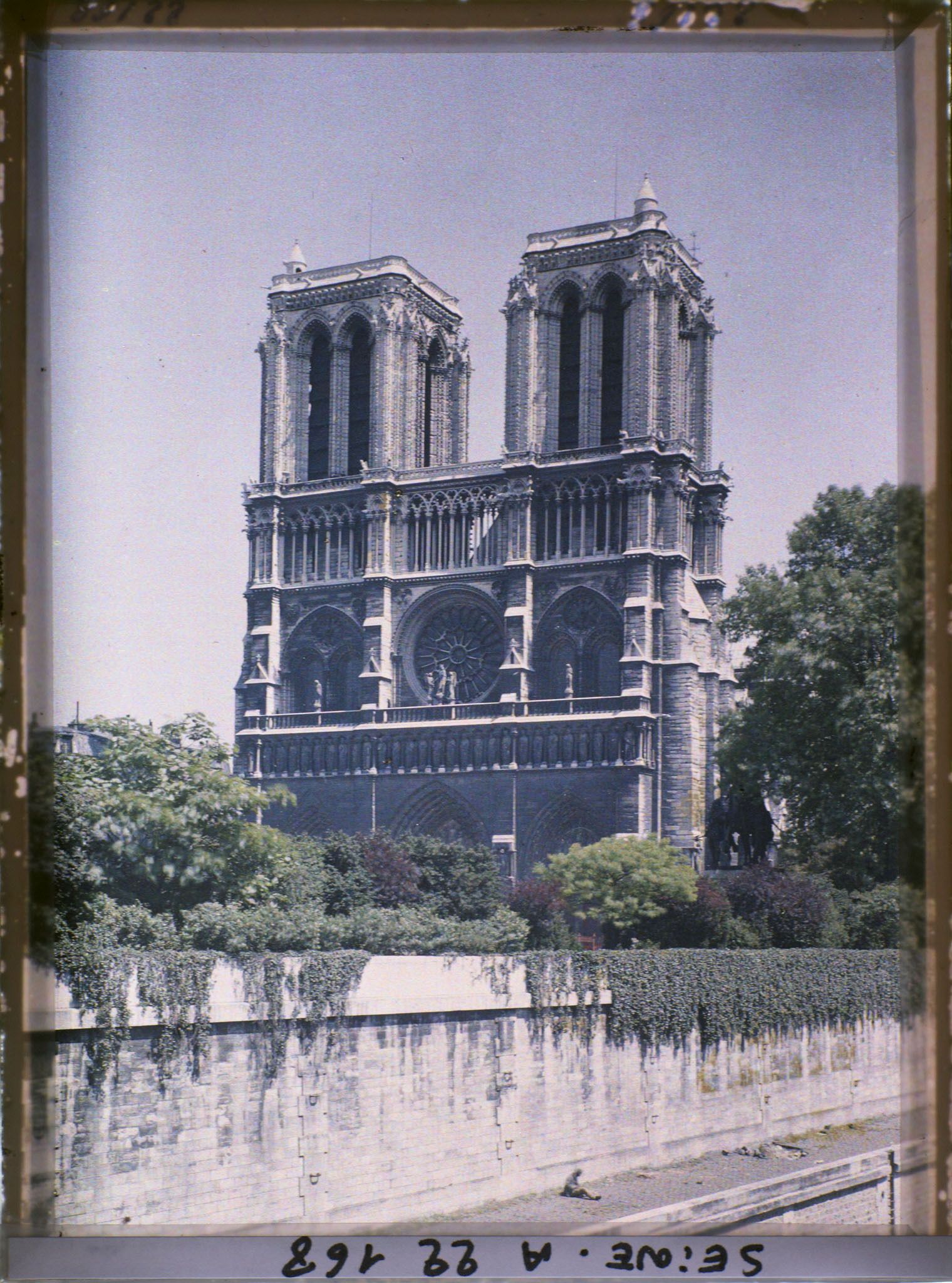 Image représentant La cathédrale Notre-Dame de Paris