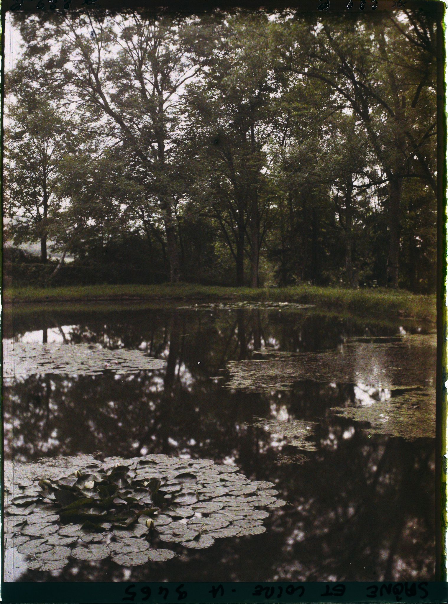 Image représentant Un étang à proximité du lac (?)