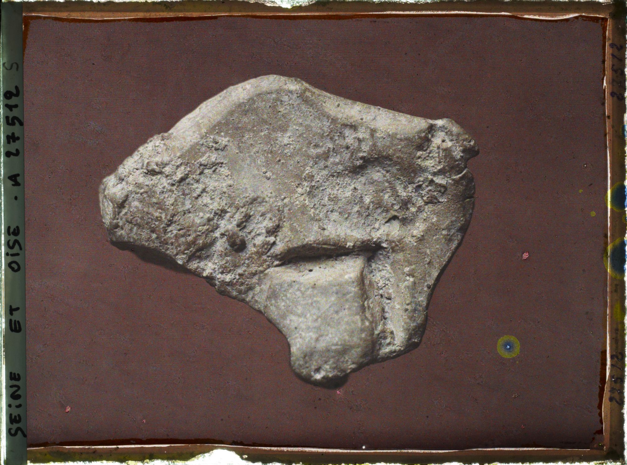 Image représentant France, St Germain-en-Laye, Bison de la Grotte du Tuc d'Audoubert 58030, Donné par le Comte Bégouen