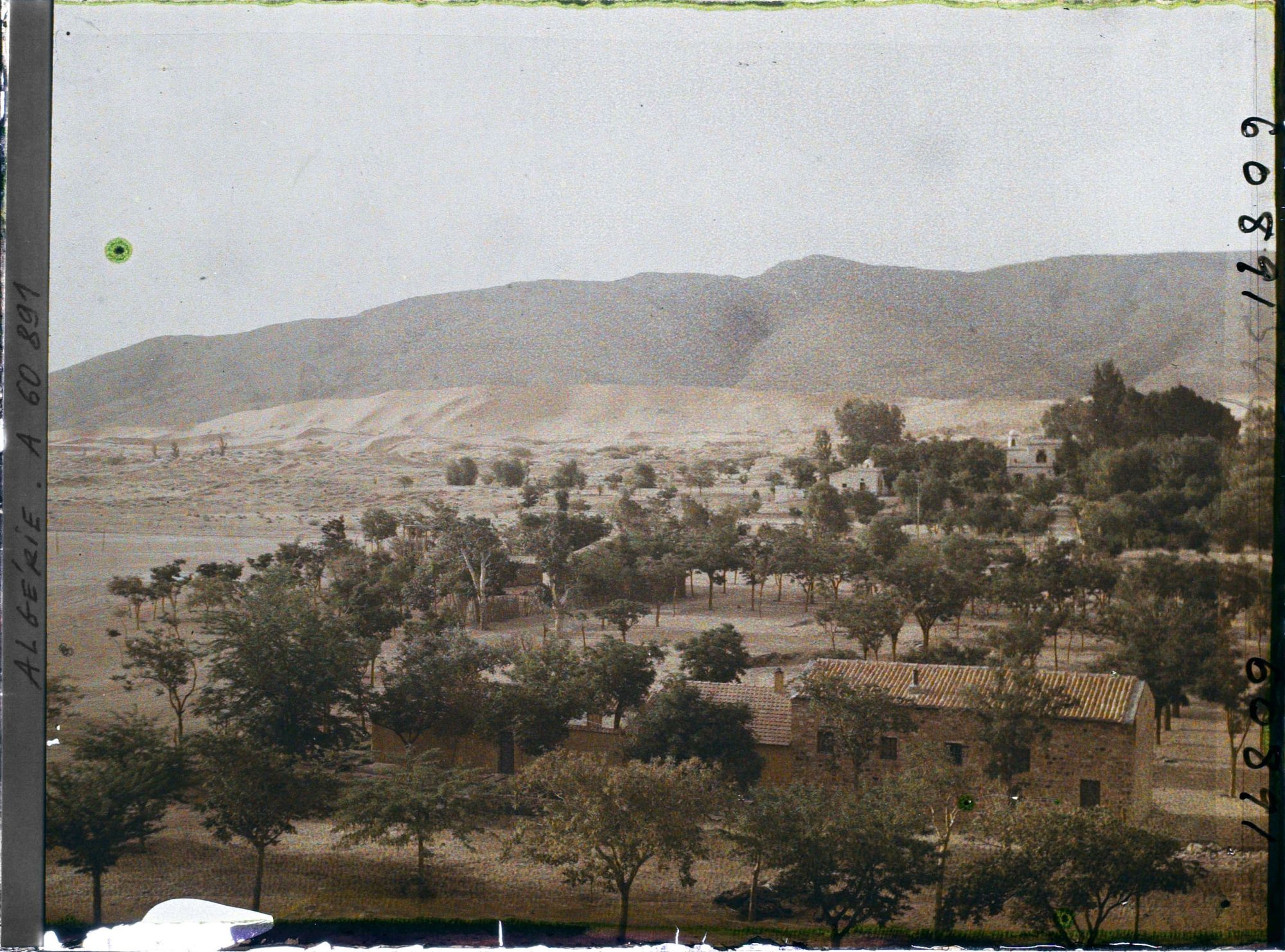Image représentant La ville avec, à l'arrière-plan, la partie orientale de la dune et le Djebel Mekter