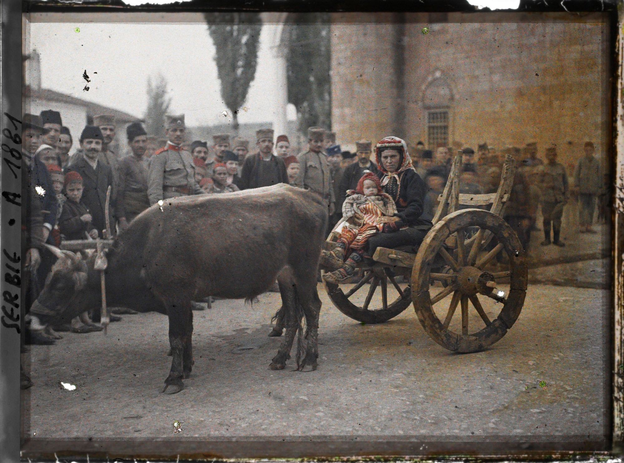 Image représentant Un attelage avec une femme assise