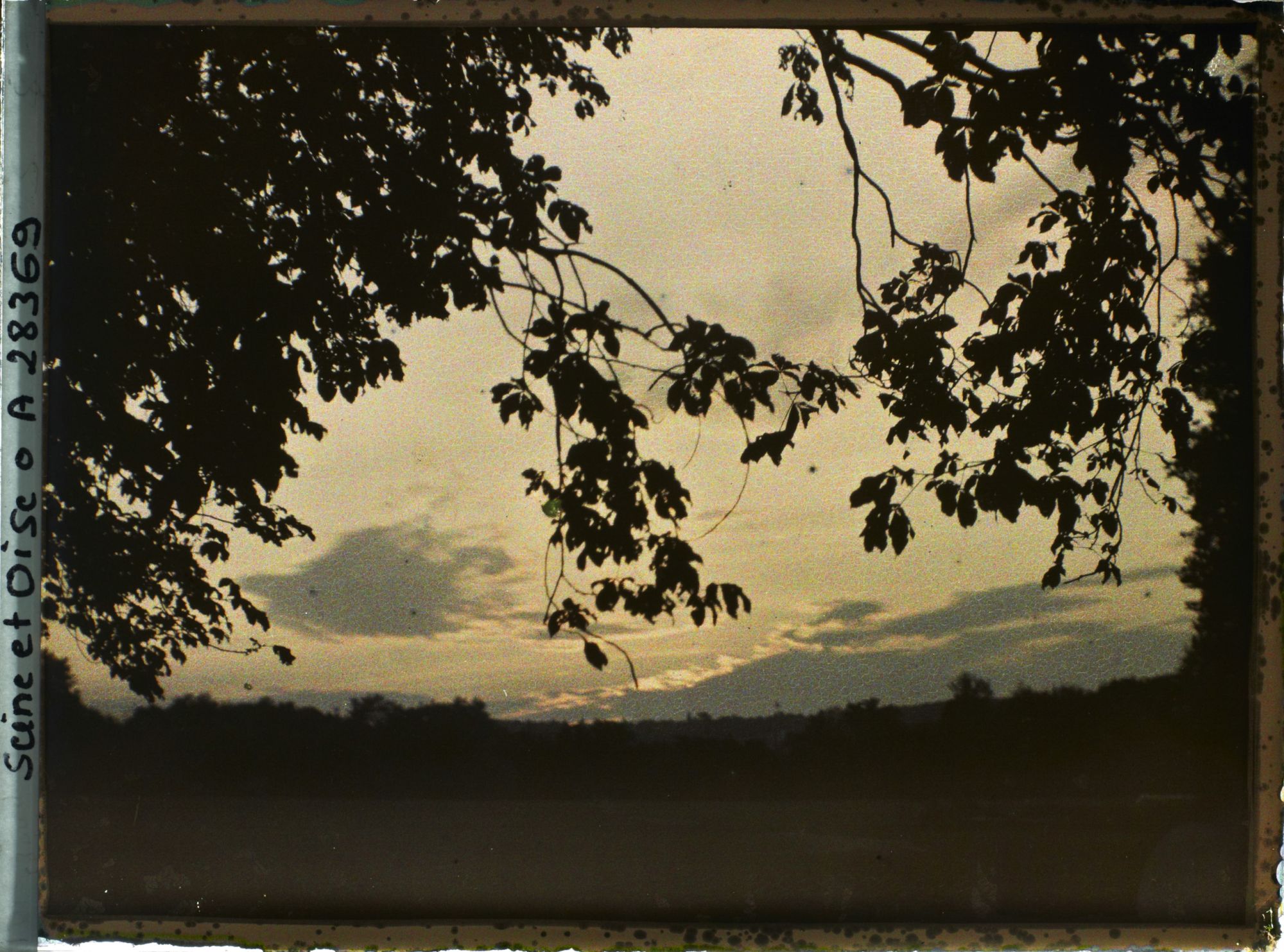 Image représentant Coucher de Soleil