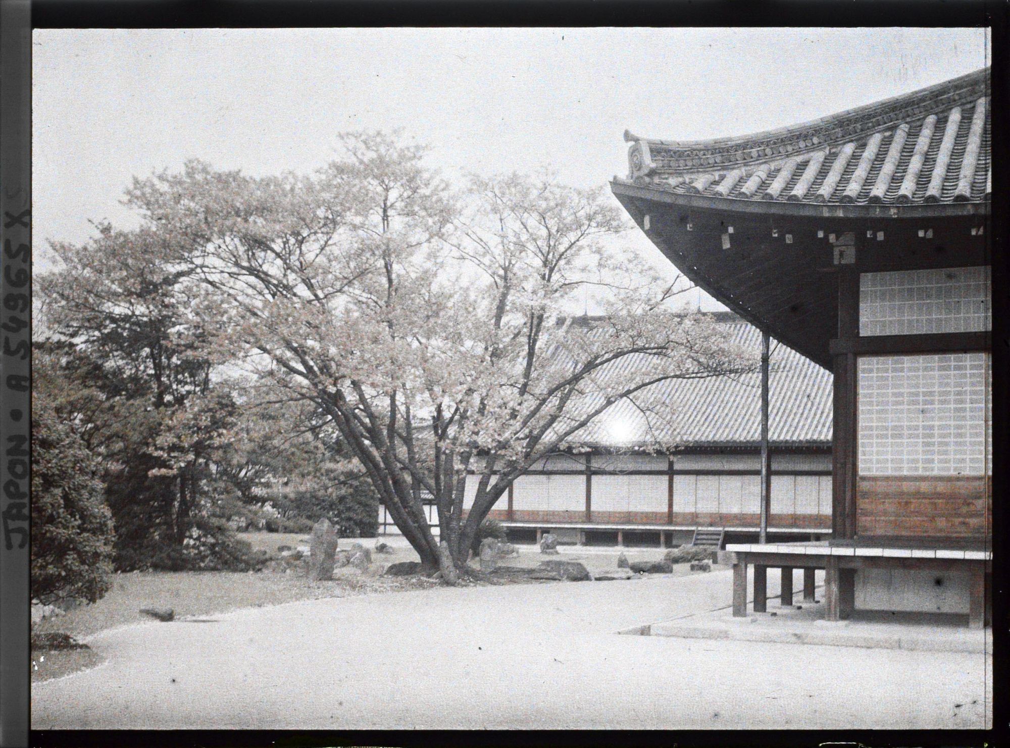 Image représentant Palais Nijô-jô : jardin du Ni-no-Maru