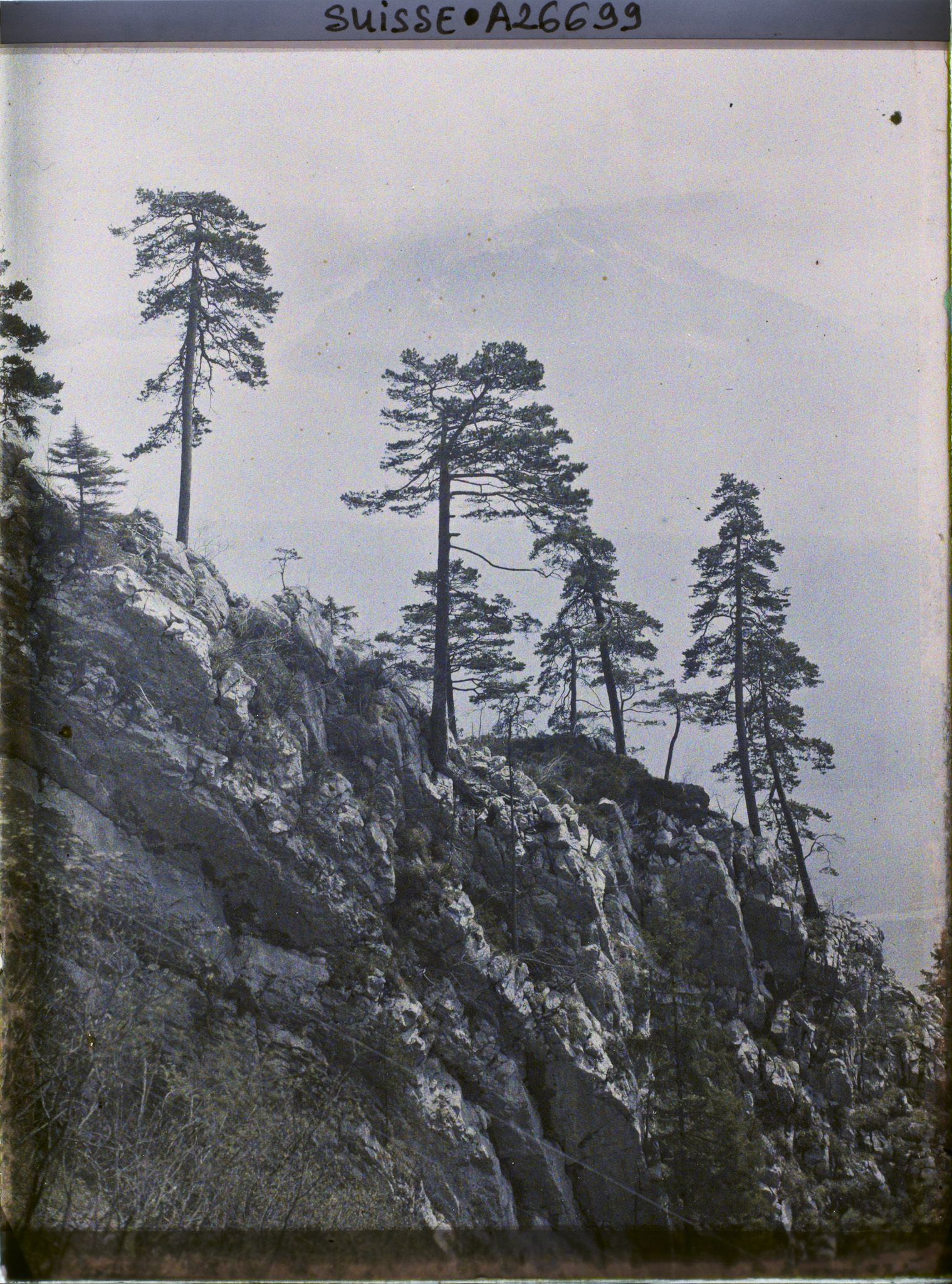 Image représentant Arbres et rochers le long du chemin de fer du mont Pilate