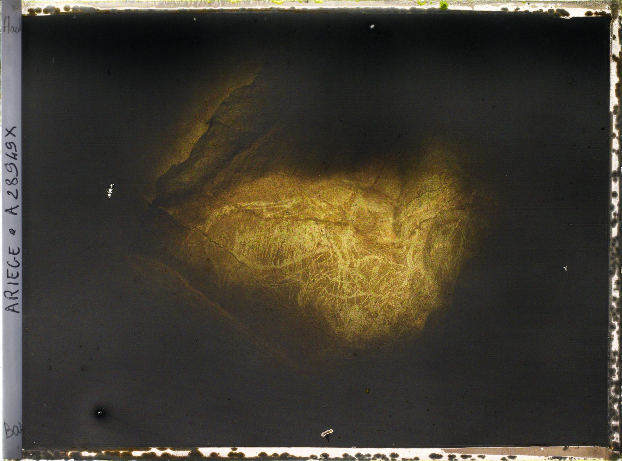 Image représentant La grotte des Trois-Frères : le cheval