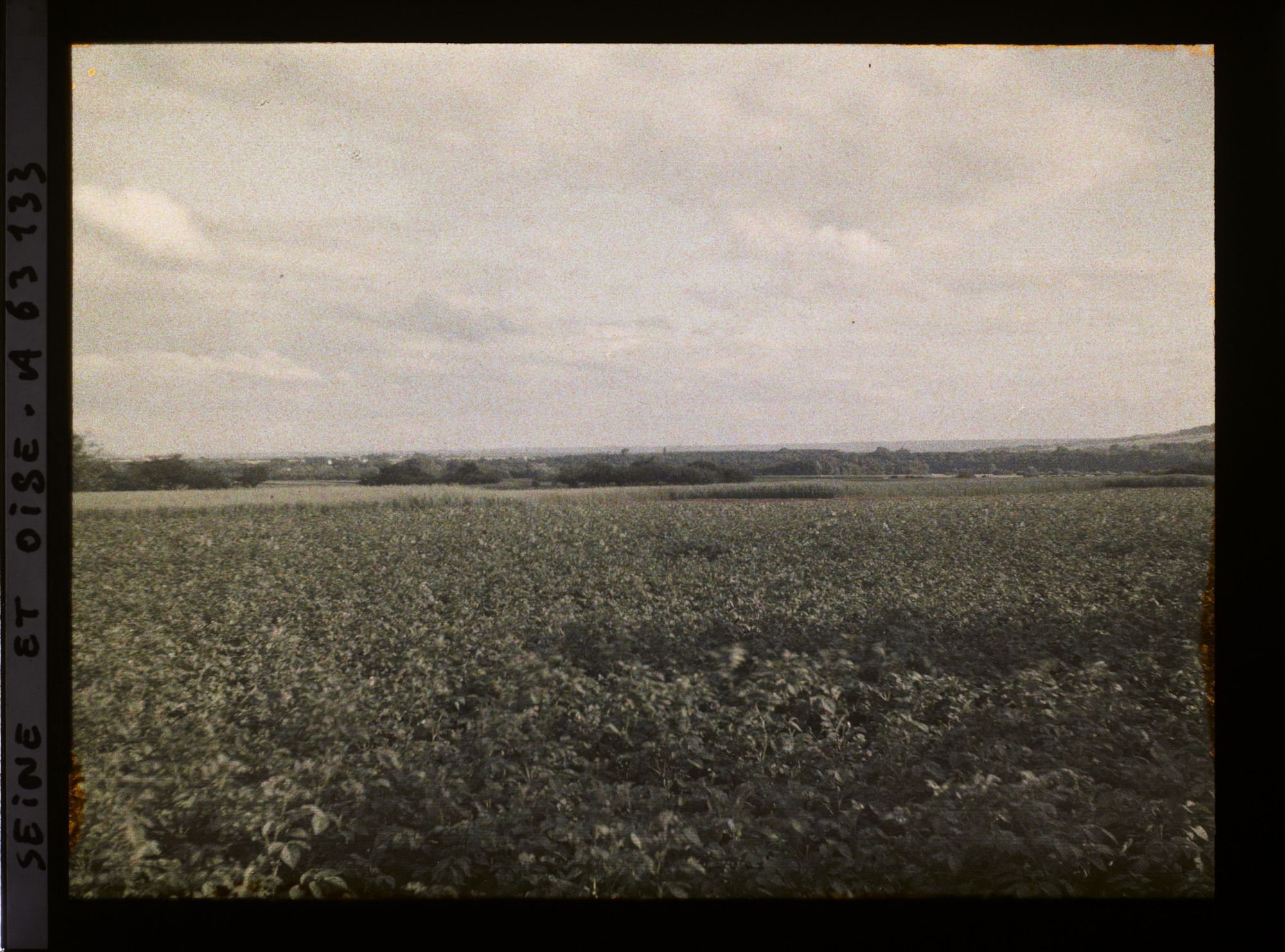 Image représentant Ile de France, Pontoise, Champ de pommes de terre au Coucher du Soleil