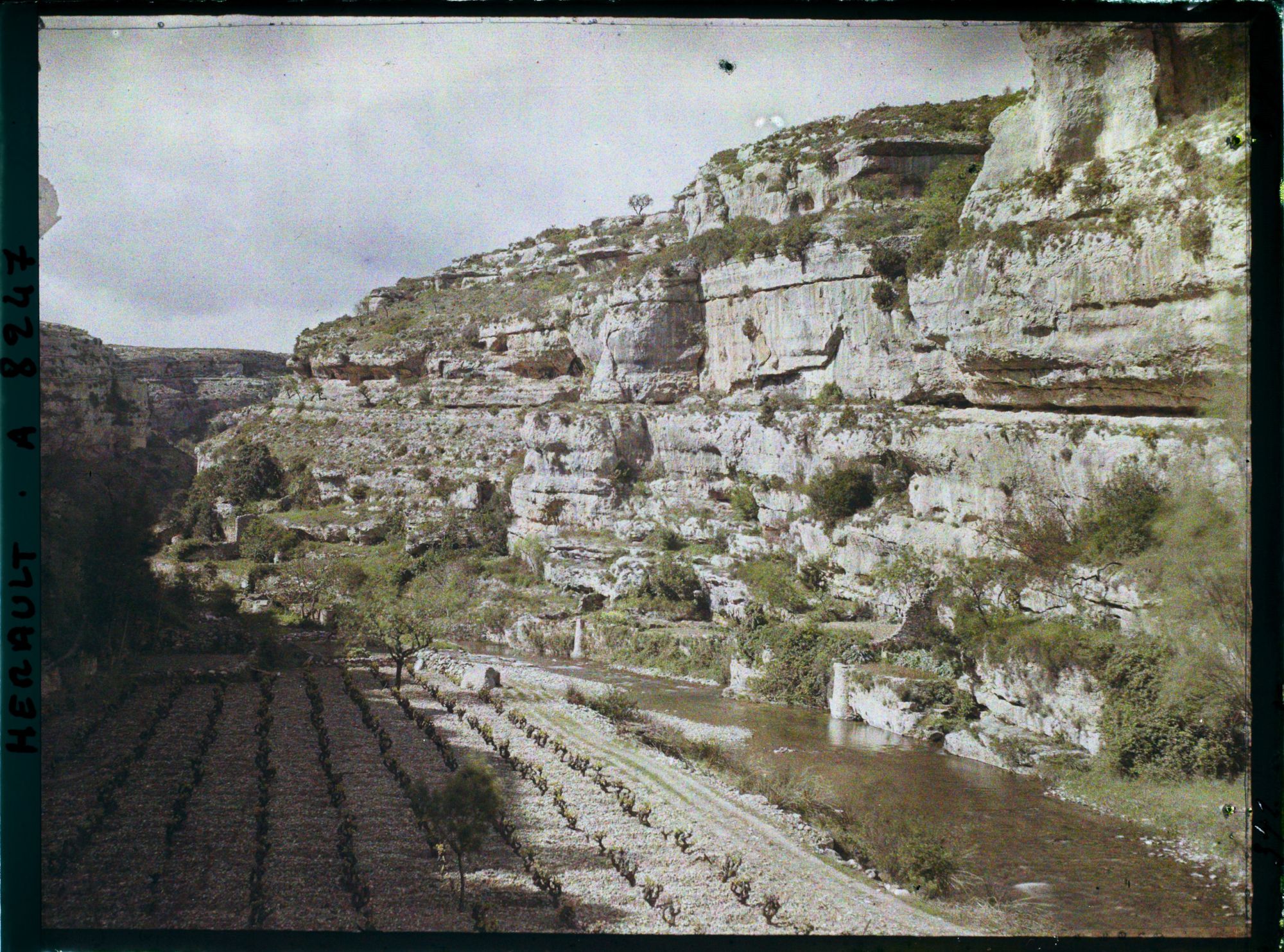 Image représentant La haute gorge du Brian