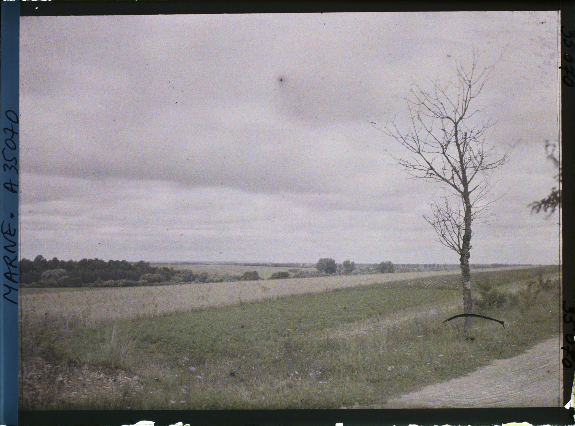 Image représentant France, St Thomas (Marne), Route de Servon à St Thomas