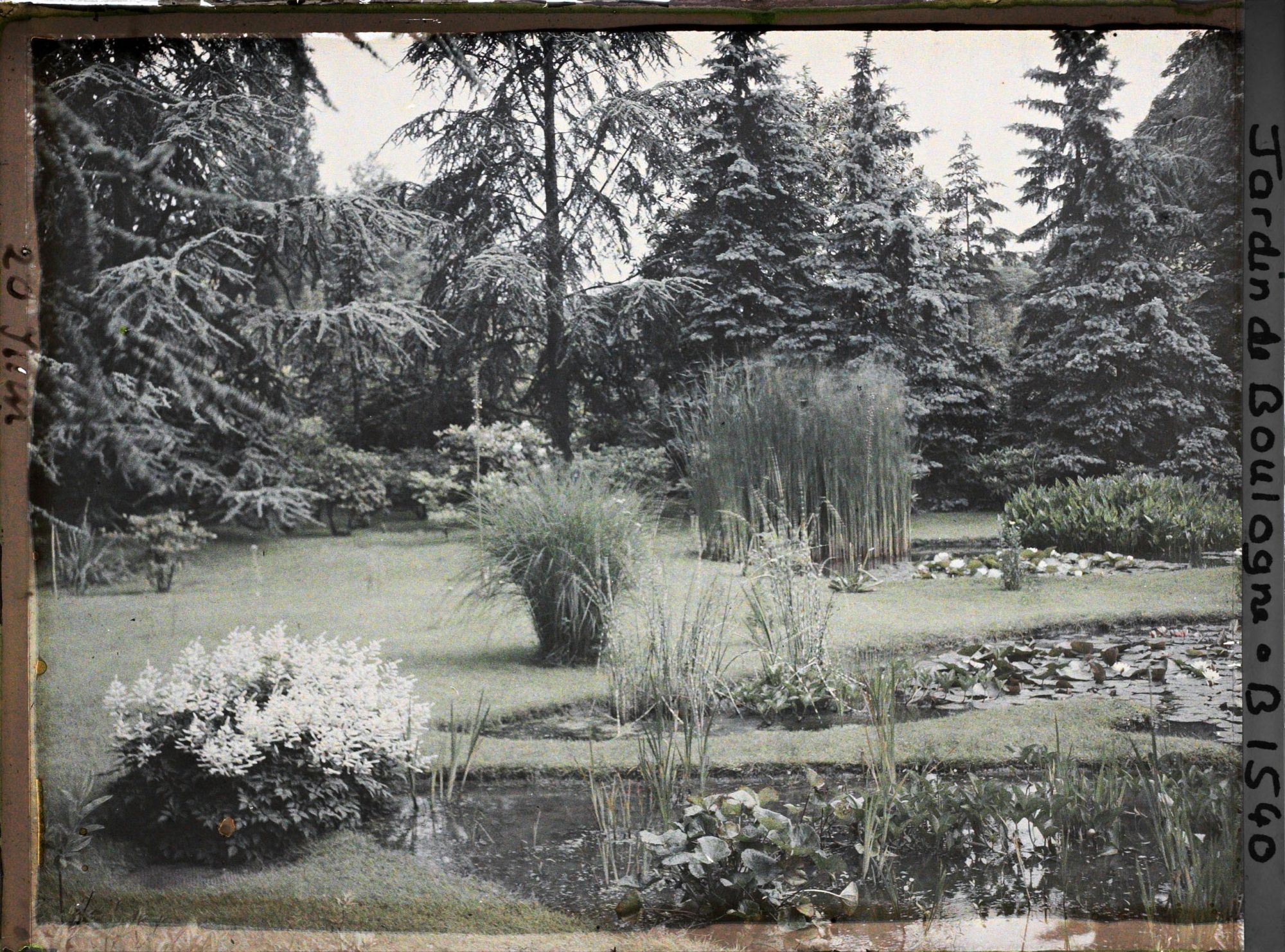 Image représentant Le marais