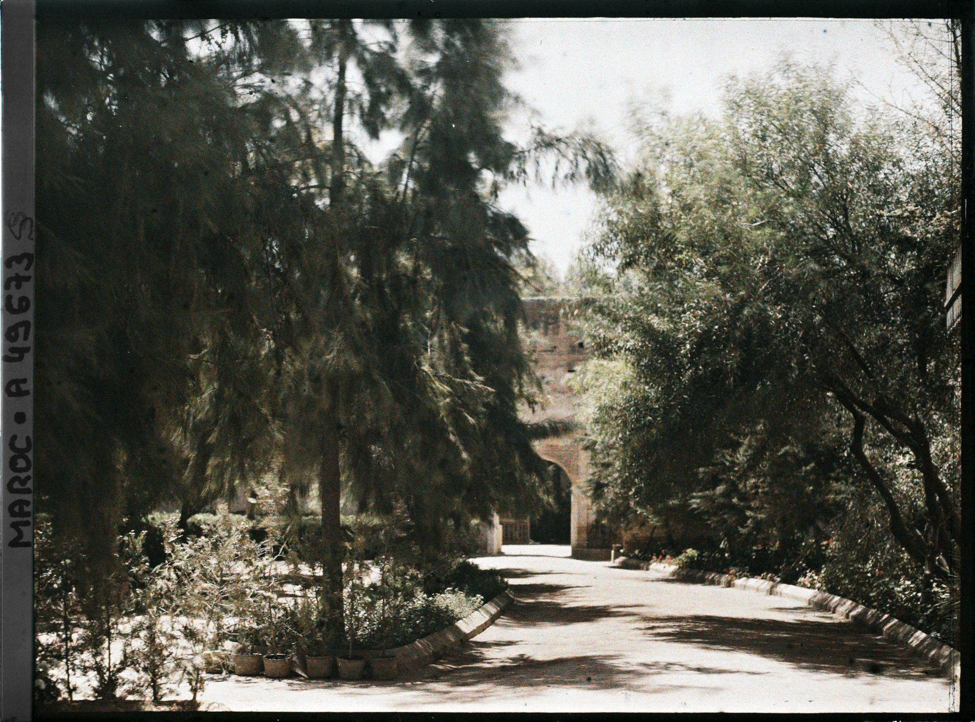 Image représentant Porte d'entrée du palais de la Bahia vue du jardin