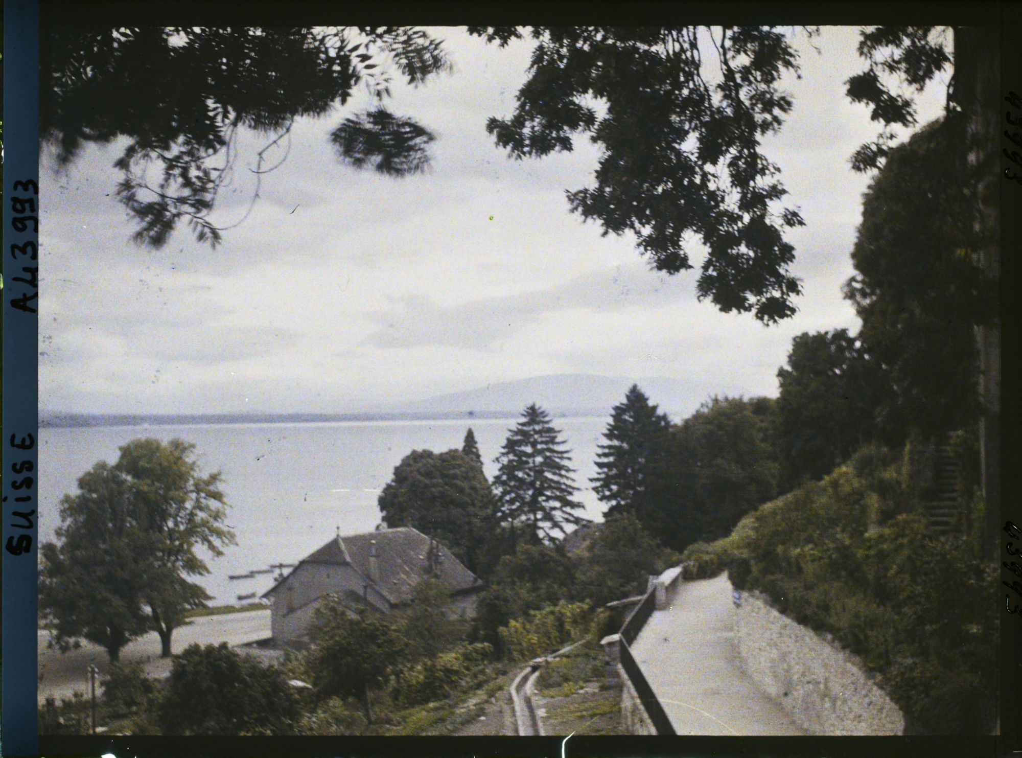 Image représentant Panorama sur Nyon et le Léman depuis la terrasse du château