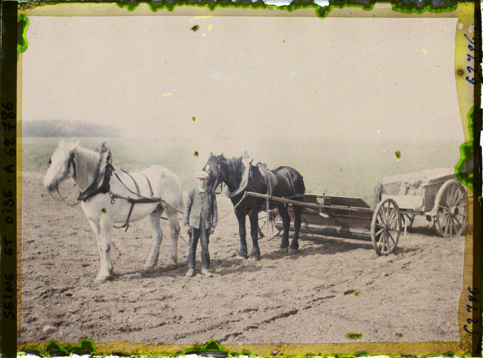 Image représentant Ile de France, Vallangoujard, Cultivateur recouvrant d'engrais un champ ensemencé de betteraves