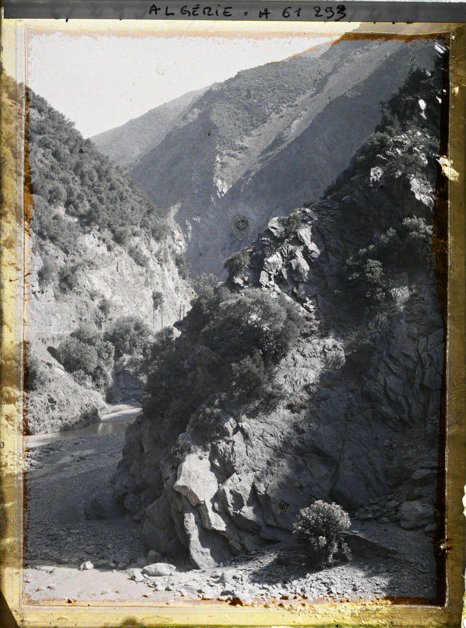 Image représentant Vue des gorges