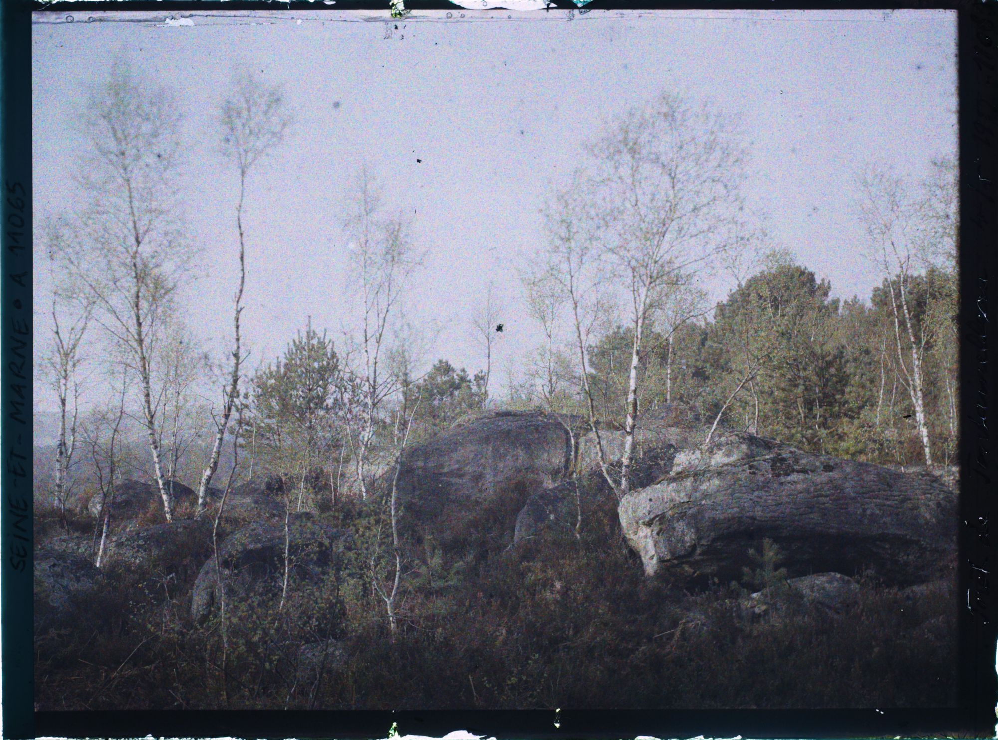 Image représentant France, Fontainebleau, Forêt de Fontainebleau