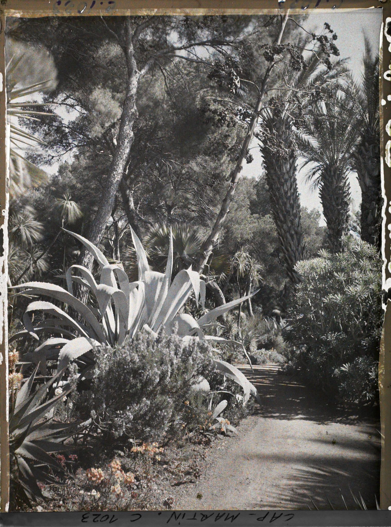 Image représentant Le Jardin