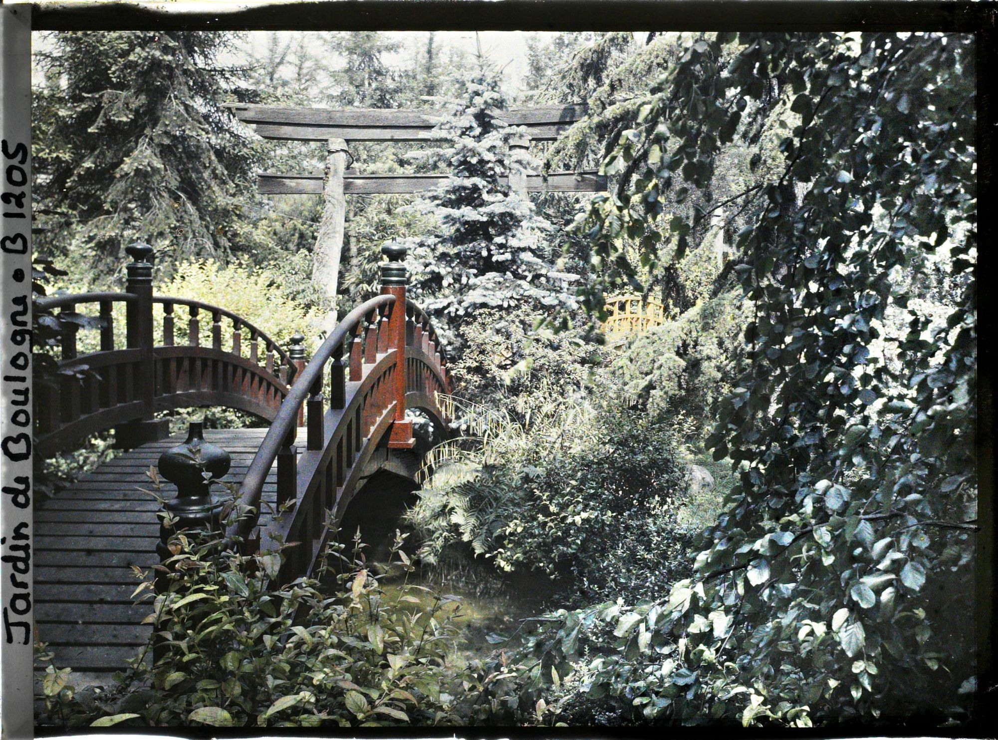 Image représentant Torii dans un environnement arboré, par-delà le pont rouge du " sanctuaire japonais "