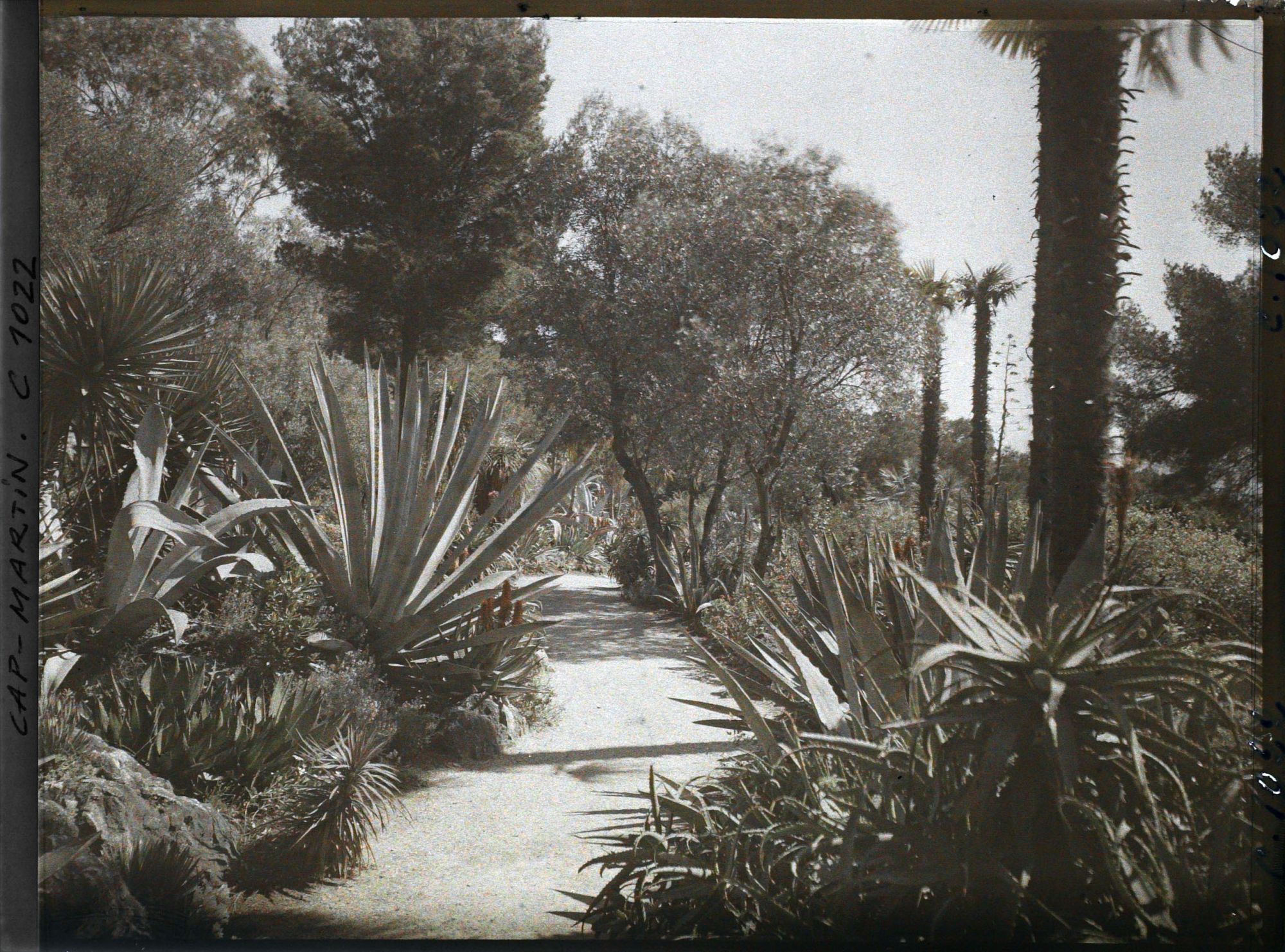 Image représentant Le Jardin