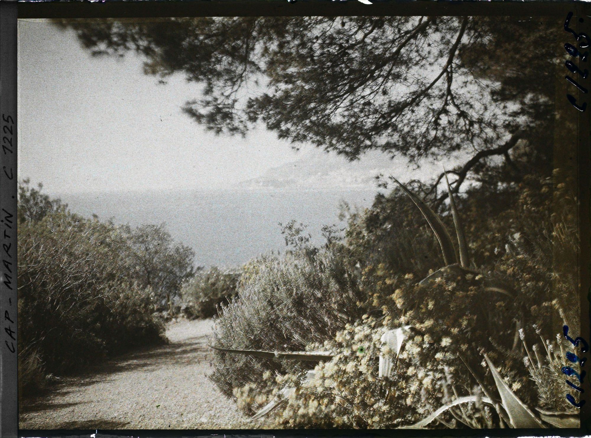 Image représentant le Jardin