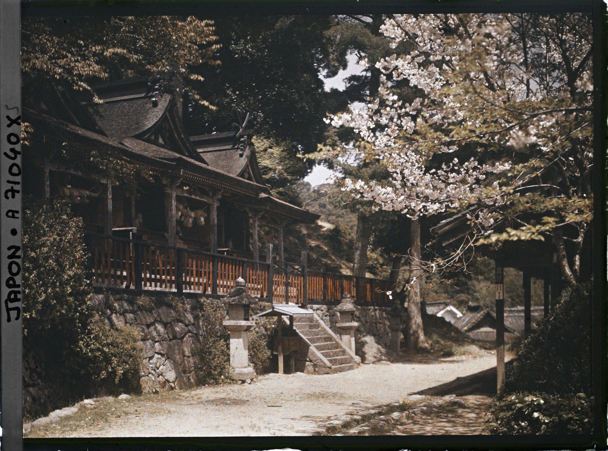 Image représentant Sanctuaires Shintô