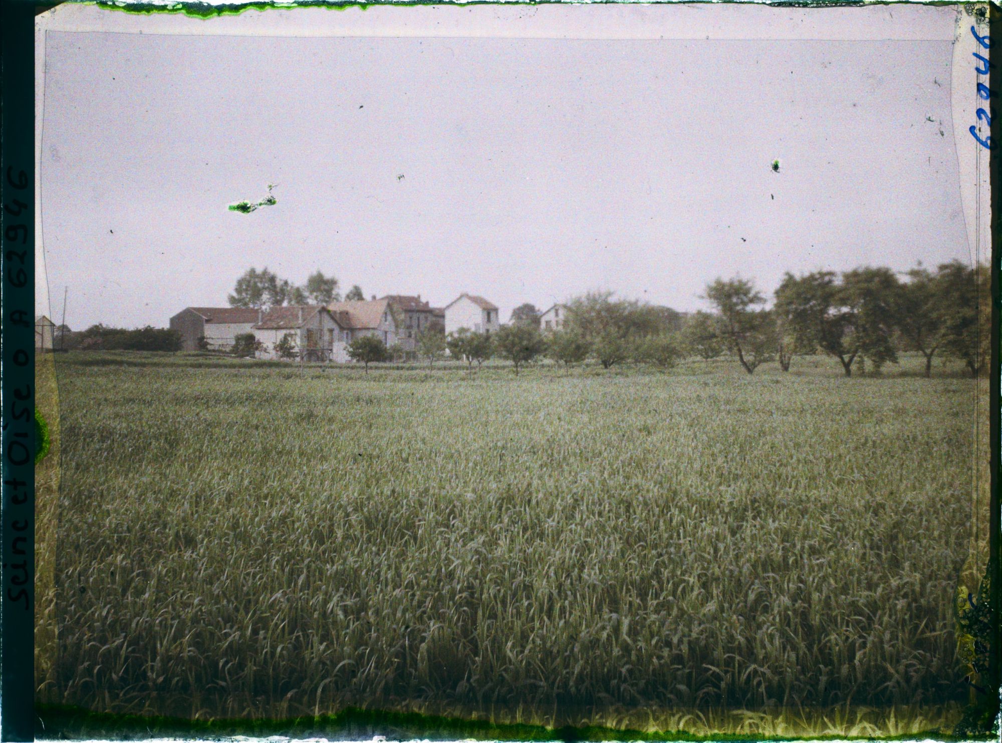 Image représentant Ile de France, Frepillon, Champ de blé