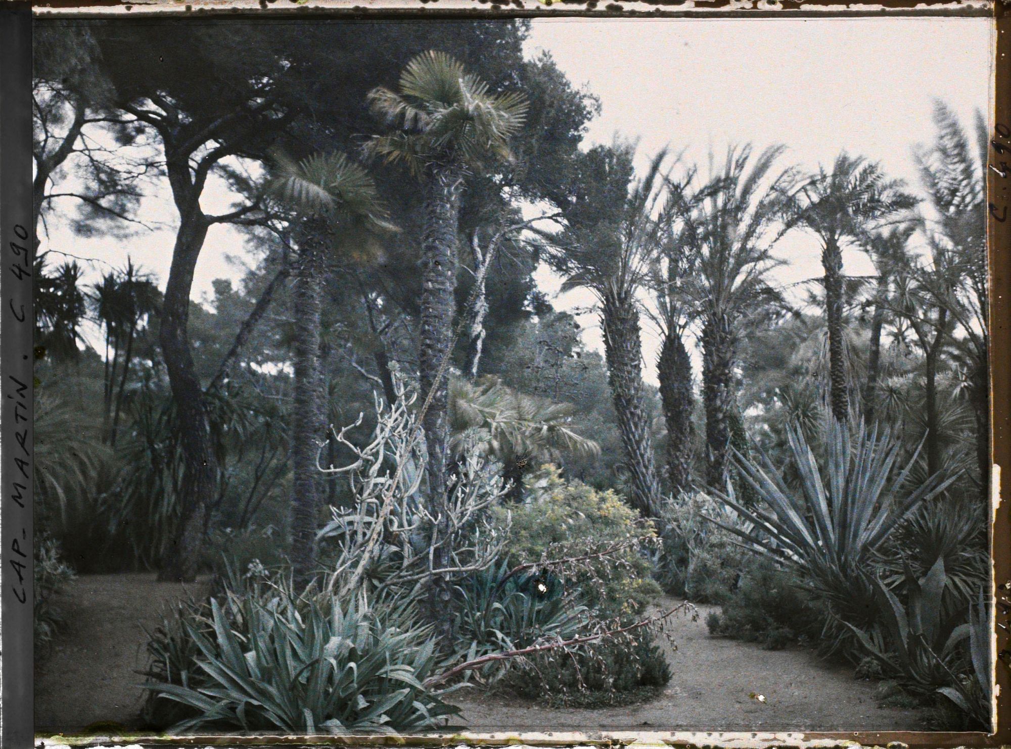 Image représentant Cap Martin Le Jardin