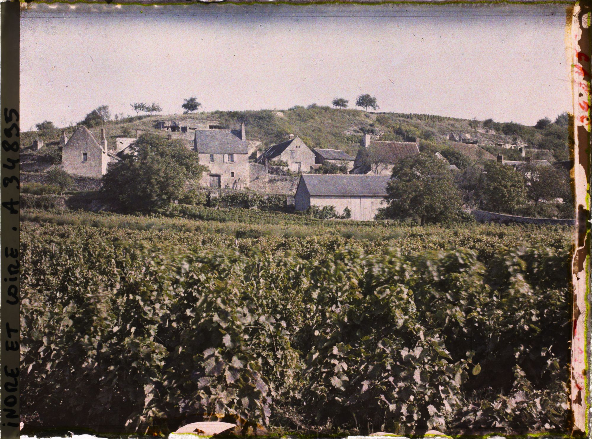 Image représentant Vignoble des coteaux de Vouvray