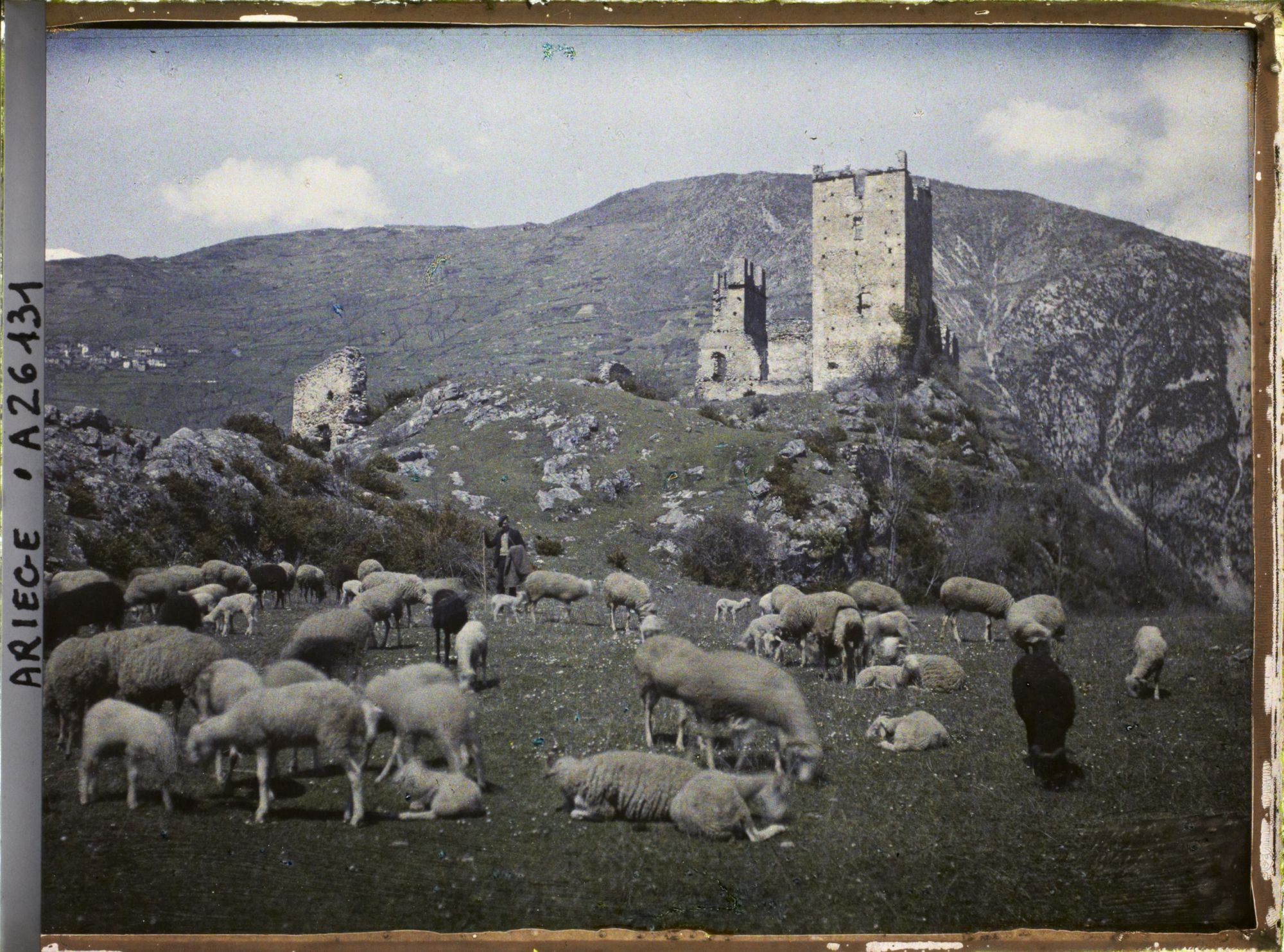Image représentant Troupeau de moutons et le vieux château de Miglos