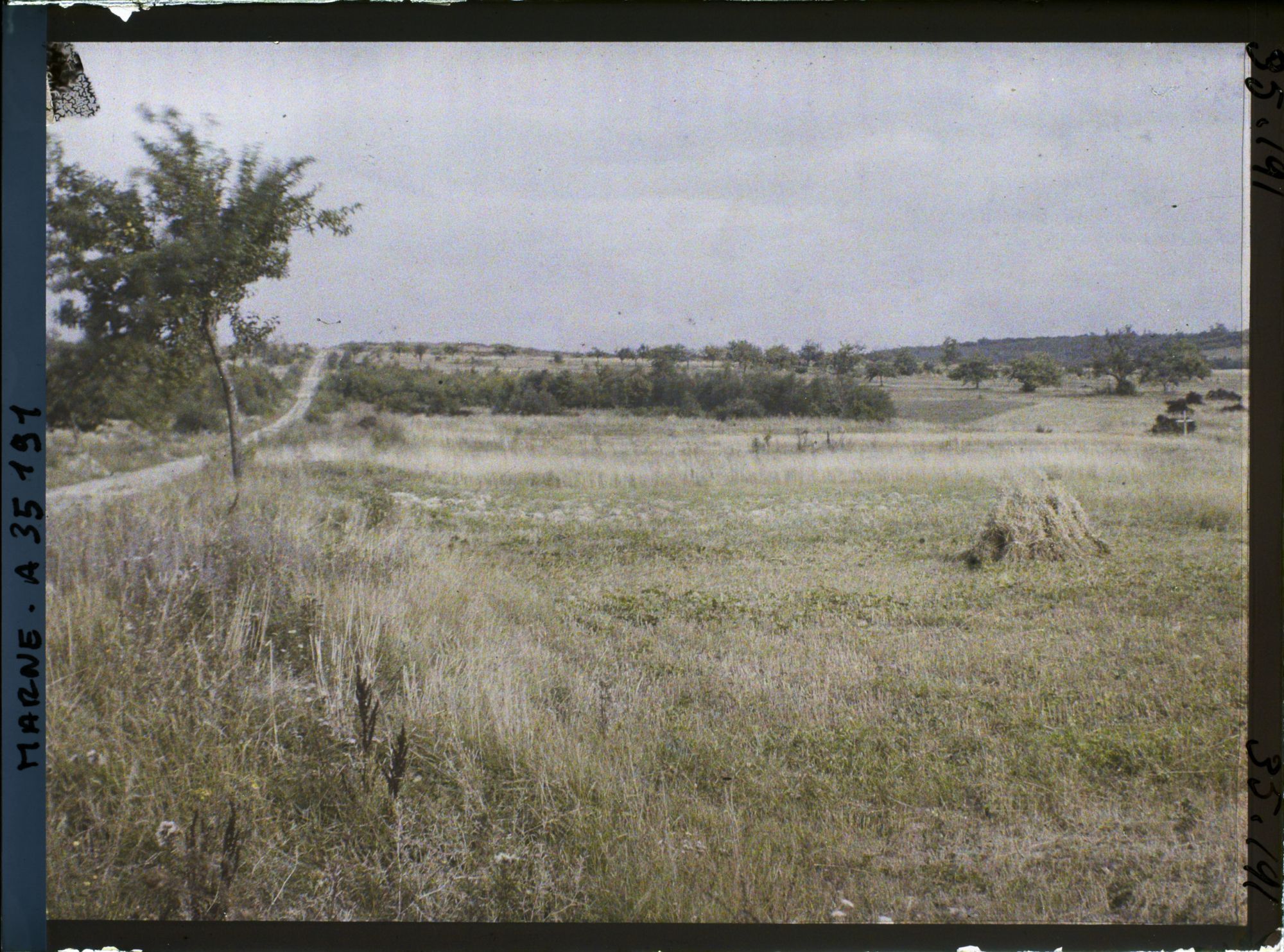 Image représentant France, Servon , Terrains remis en culture, en haut point 166, limite de la zone de Combat encore intacte