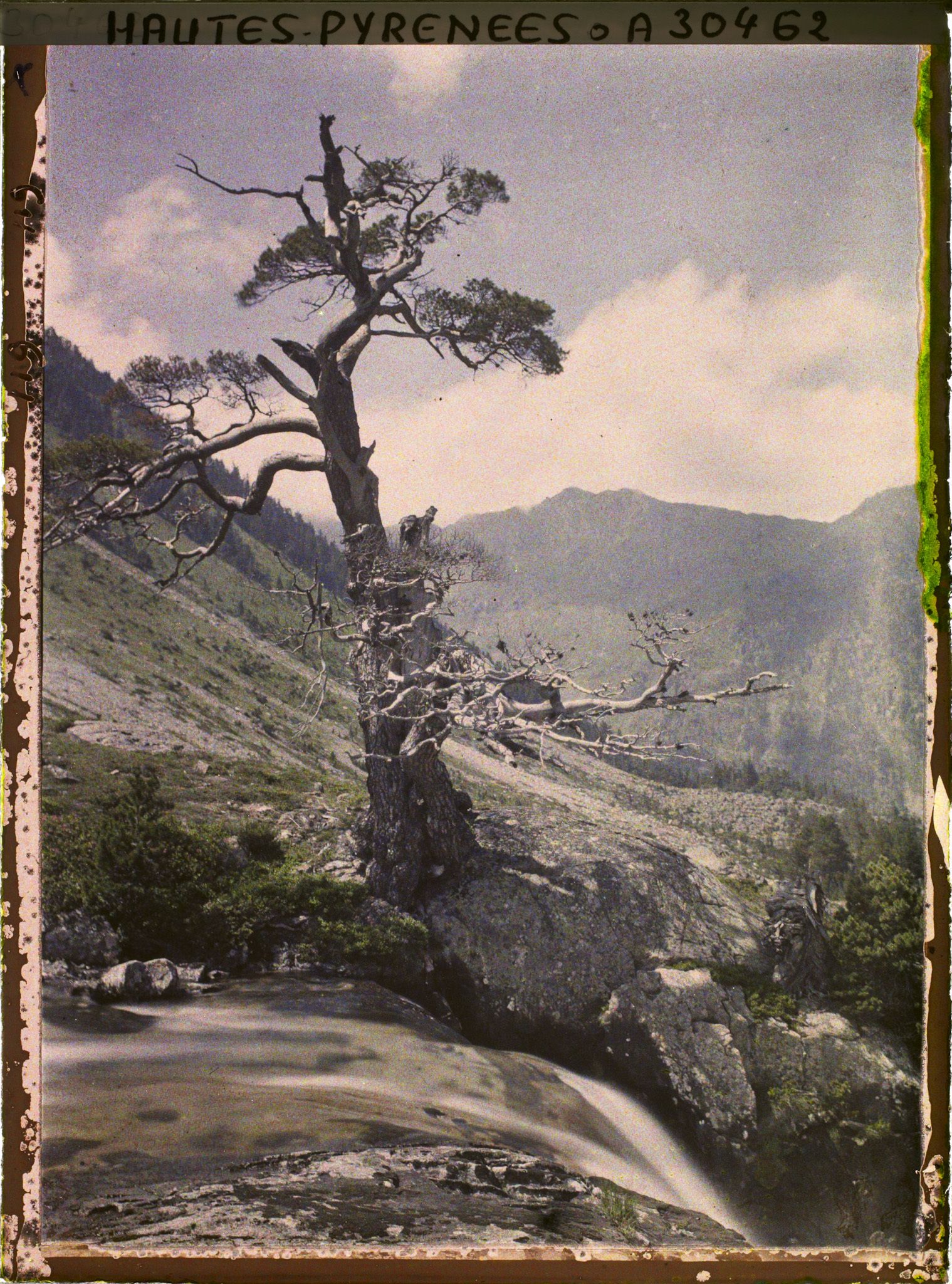 Image représentant Paysage près du lac