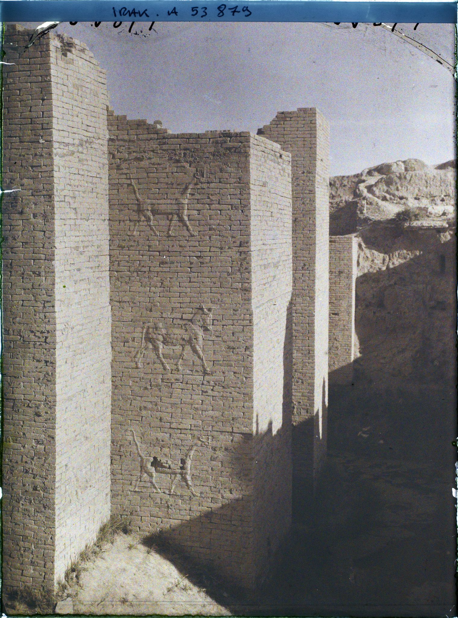 Image représentant La porte d'Ishtar décorée de bas-reliefs zoomorphes (VIe siècle avant J.-C.)