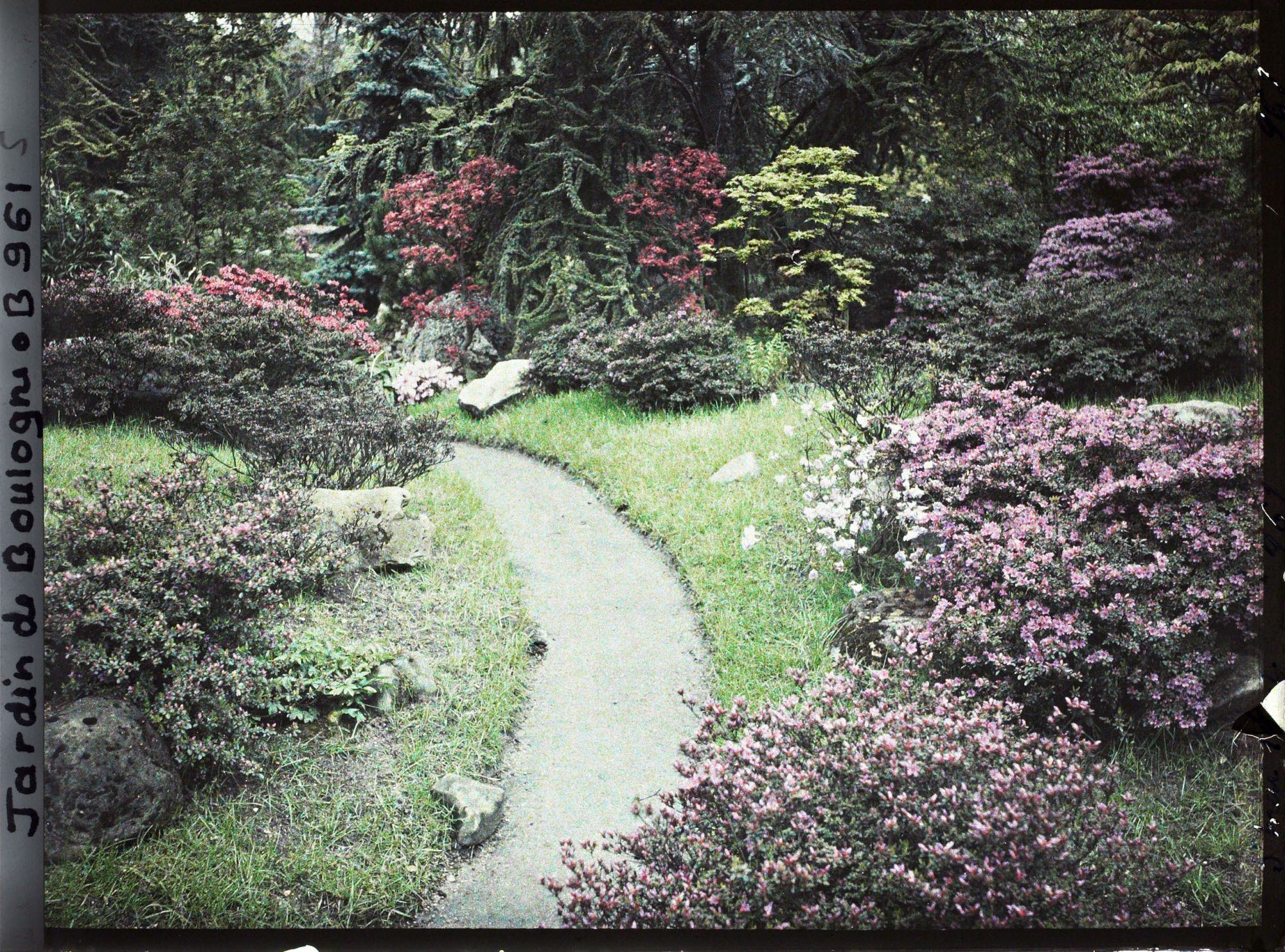 Image représentant Chemin du " sanctuaire japonais " bordé d'érables et d'azalées, à la sortie du " village japonais "