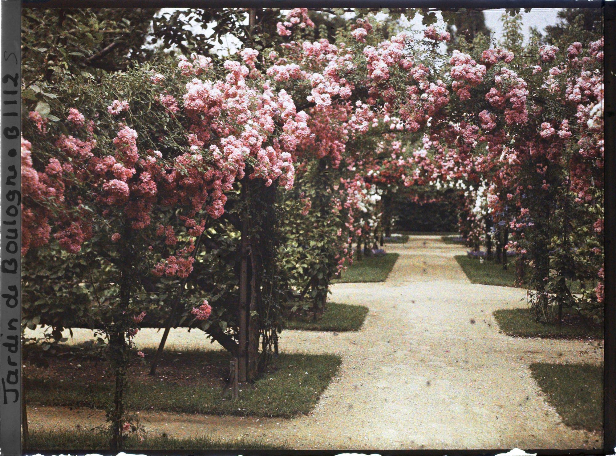 Image représentant Axe central du verger-roseraie vu à mi-parcours, en direction de la dépendance
