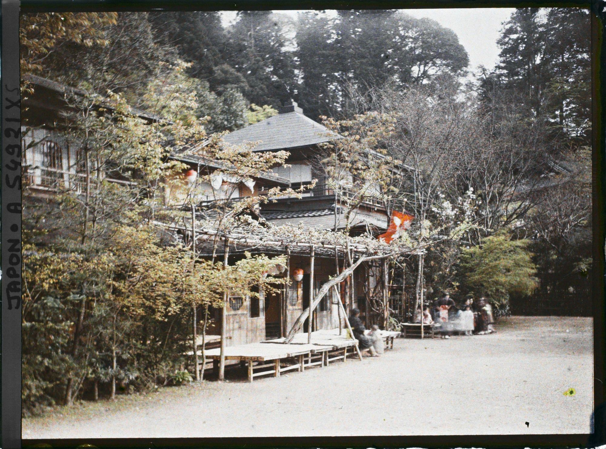 Image représentant Le parc Maruyama (Maruyama kôen)