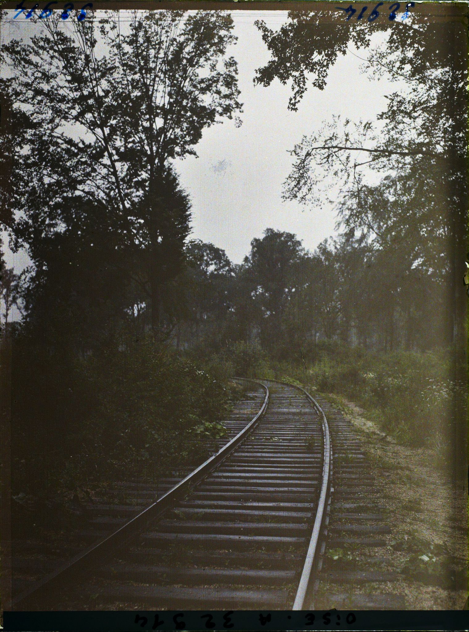 Image représentant France, Forêt de Compiègne, Carrefour de l'Armistice, autre aspect de la Voie à l'emplacement du train du Maréchal