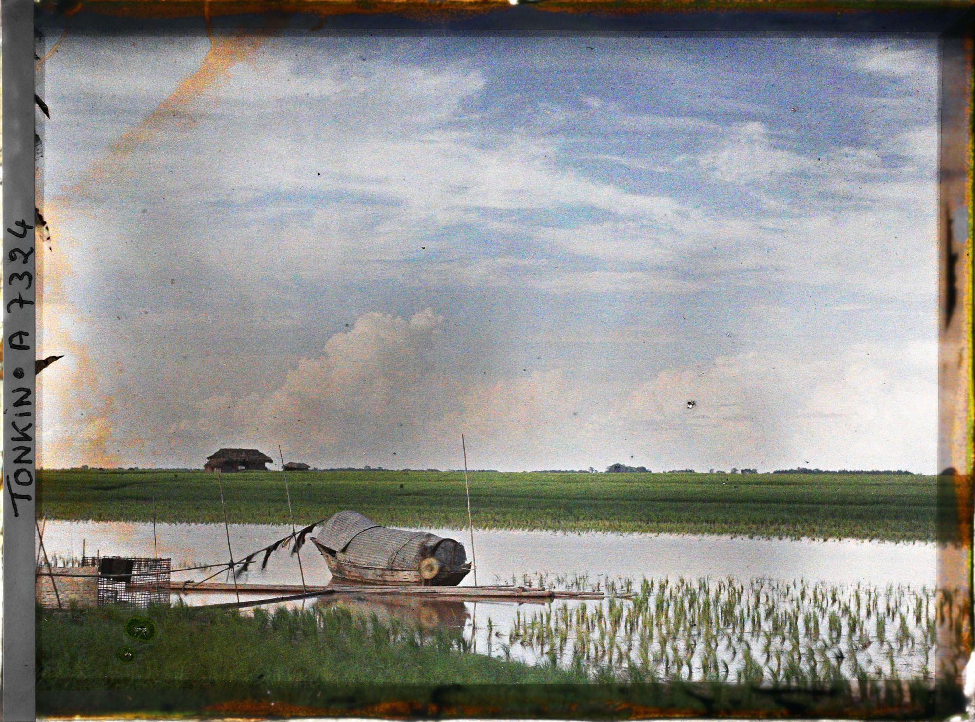 Image représentant Des rizières et un sampan au bord du Fleuve Rouge