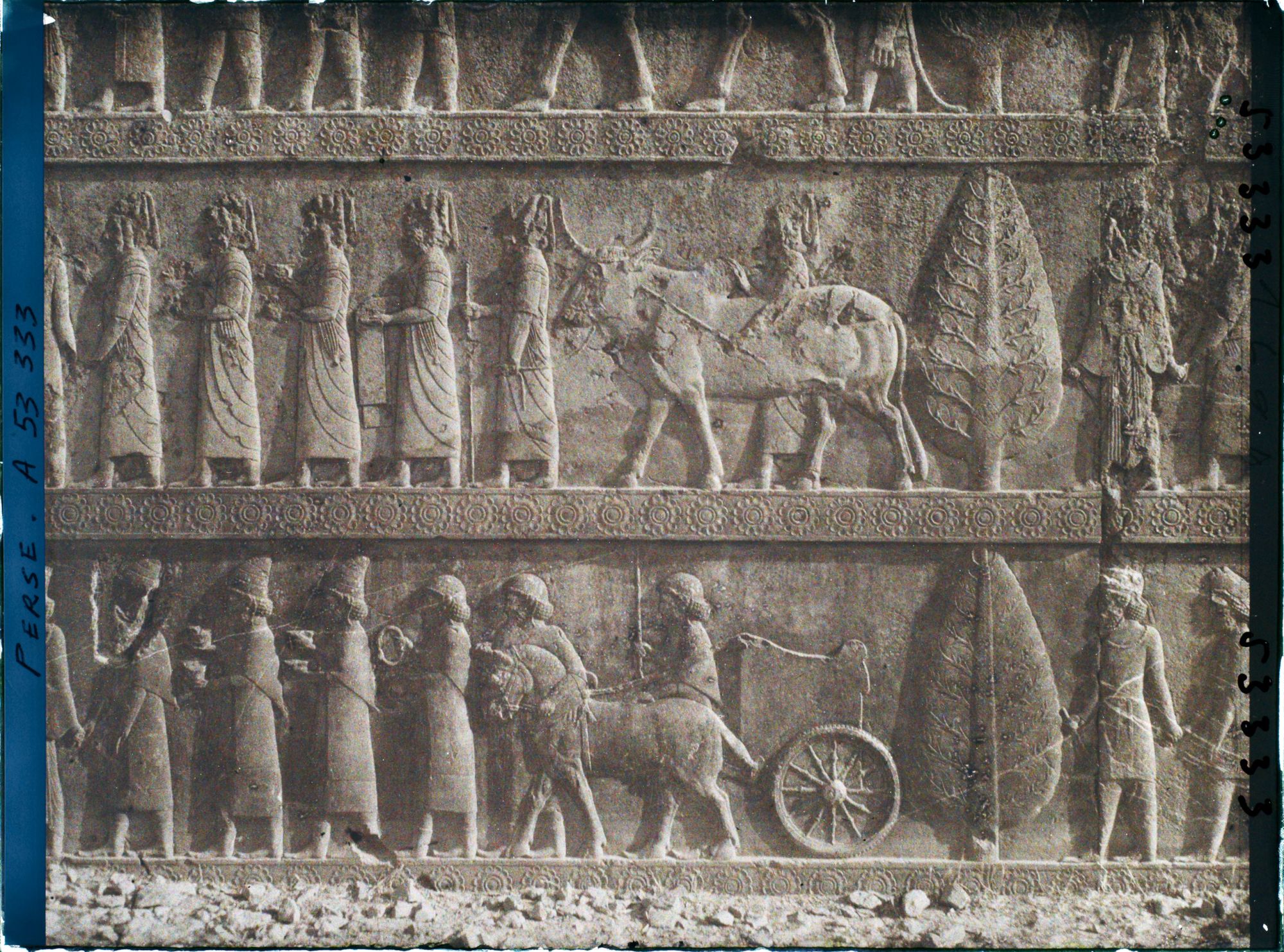 Image représentant Escalier nord de l'Apadana, détail de la procession des tributaires