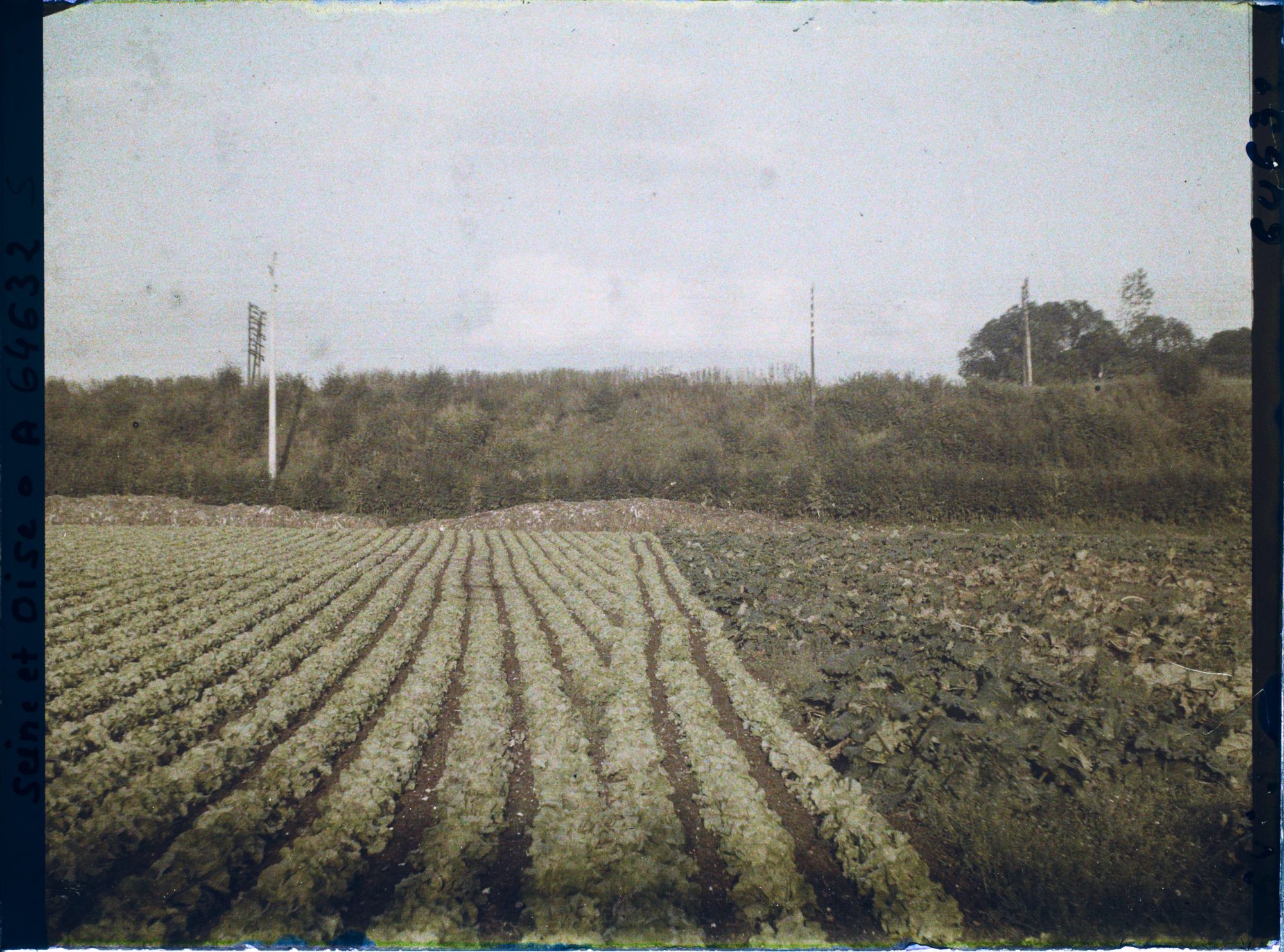 Image représentant Ile de France, Sarcelles St Brieuc, Cultures Diverses