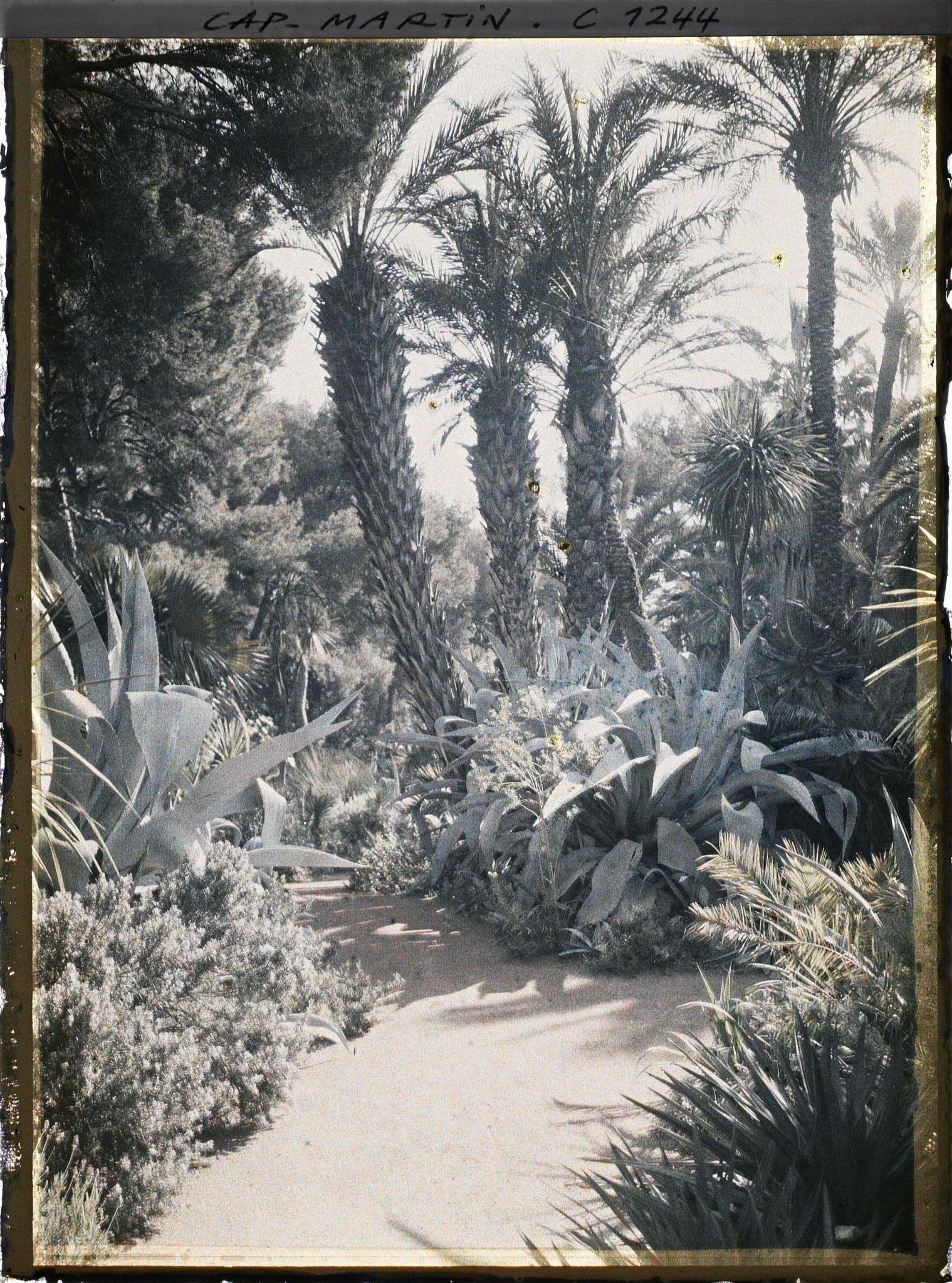 Image représentant le jardin