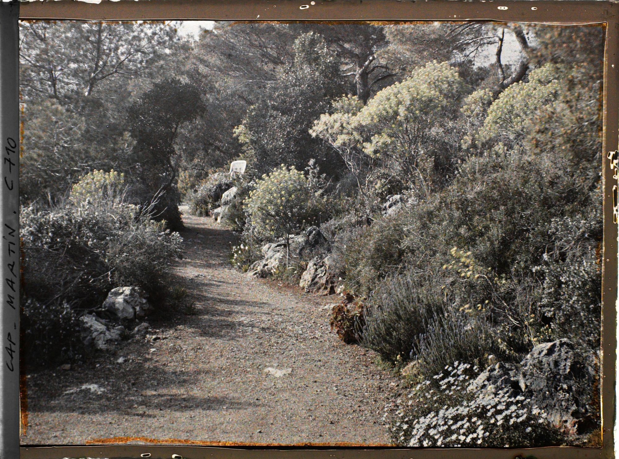 Image représentant Jardin divers