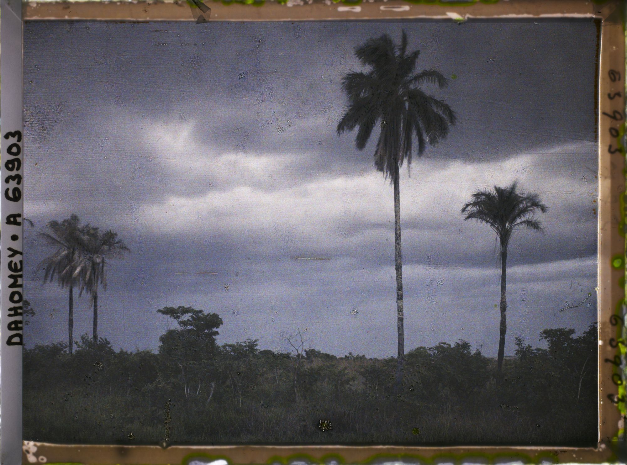 Image représentant Tornade en préparation