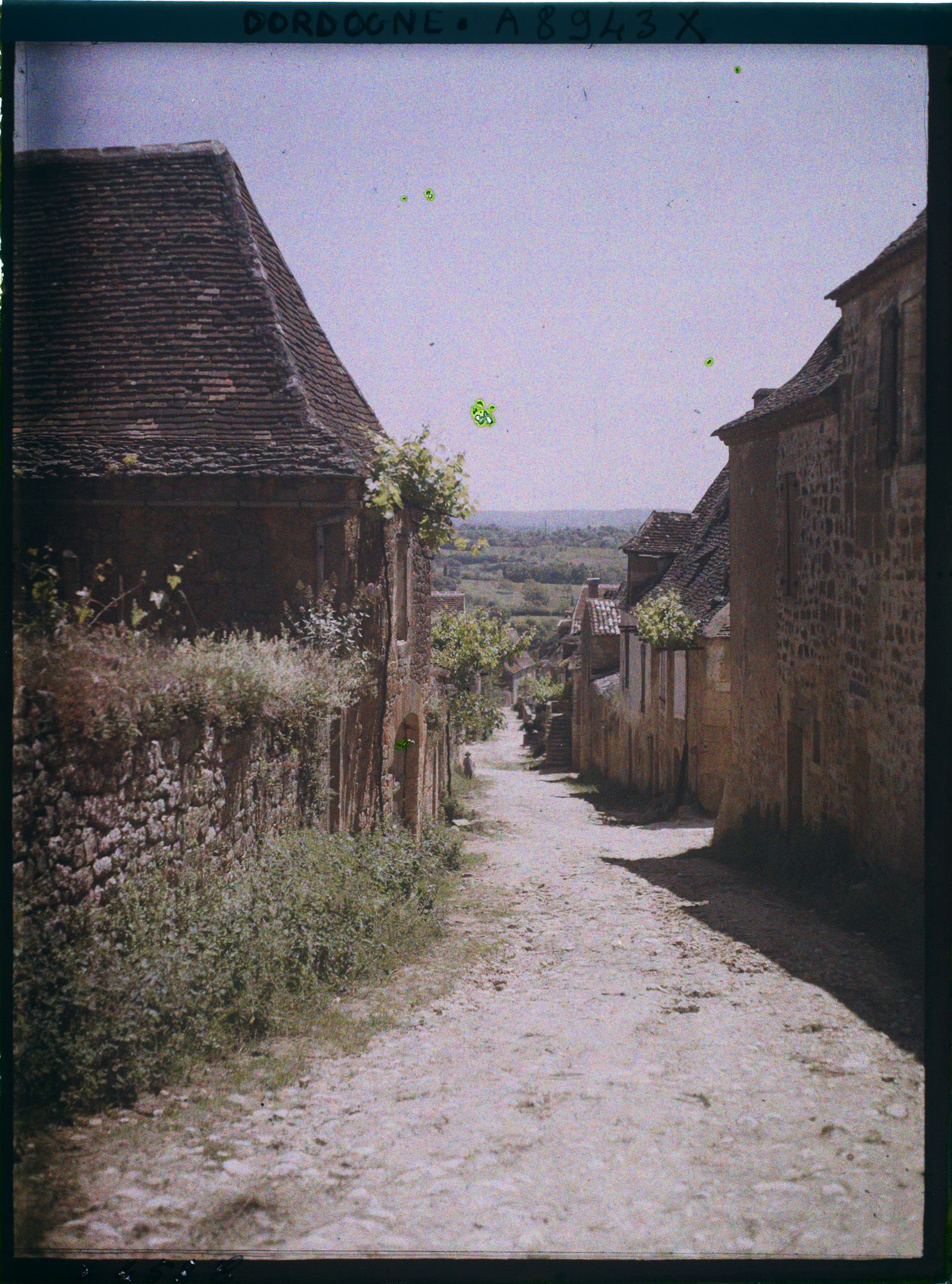 Image représentant France, Domme, Domme une rue descendante