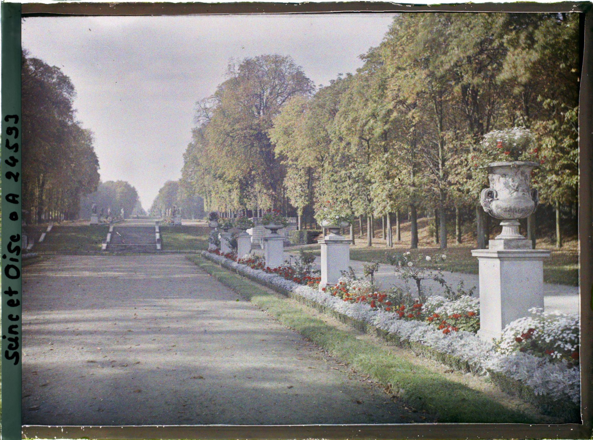 Image représentant La terrasse des Orangers et l'allée des Statues dans le petit parc