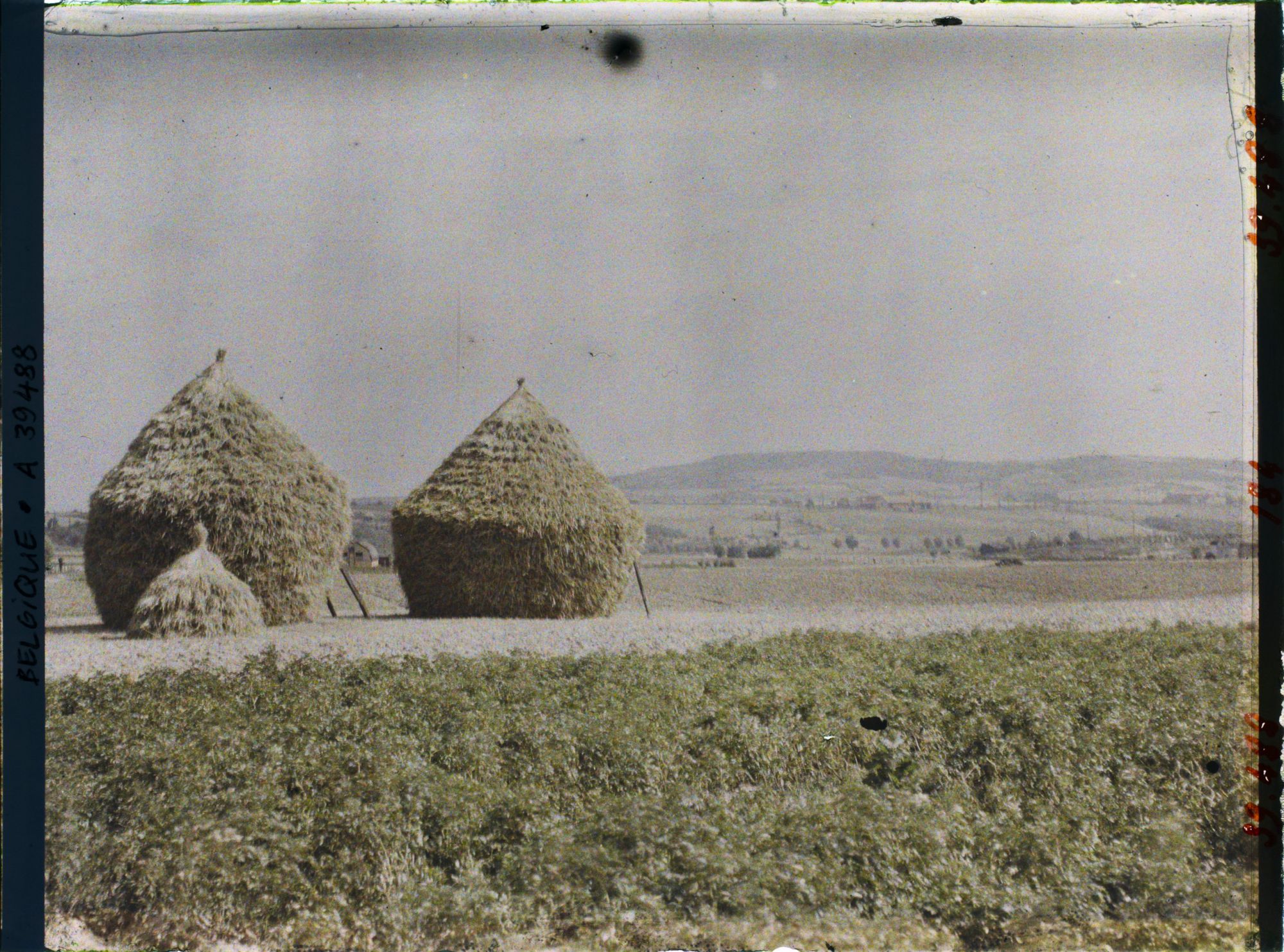 Image représentant Belgique, Locre, Le Kemmel vu de Locre