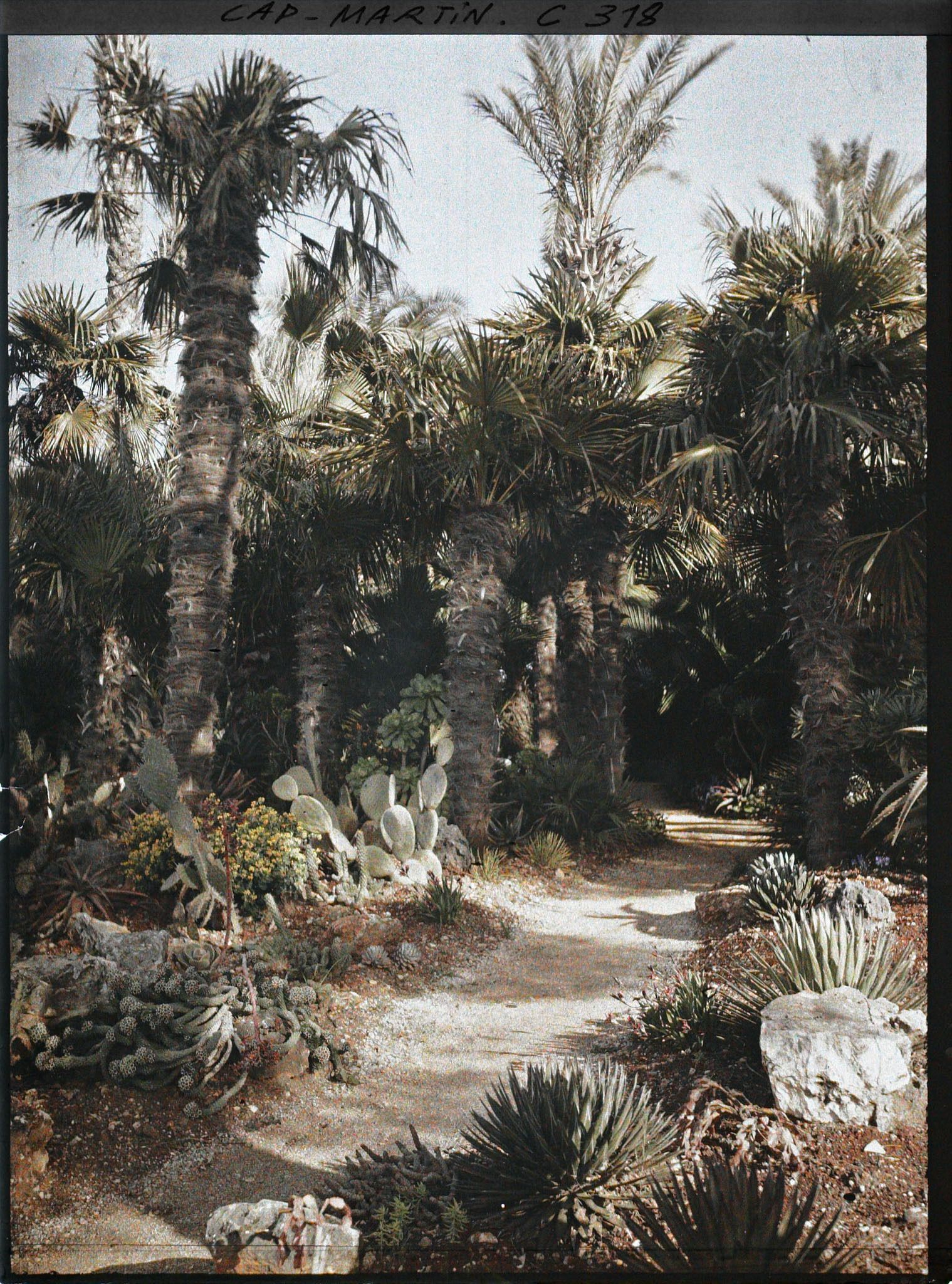 Image représentant Cap-Martin - Le Jardin