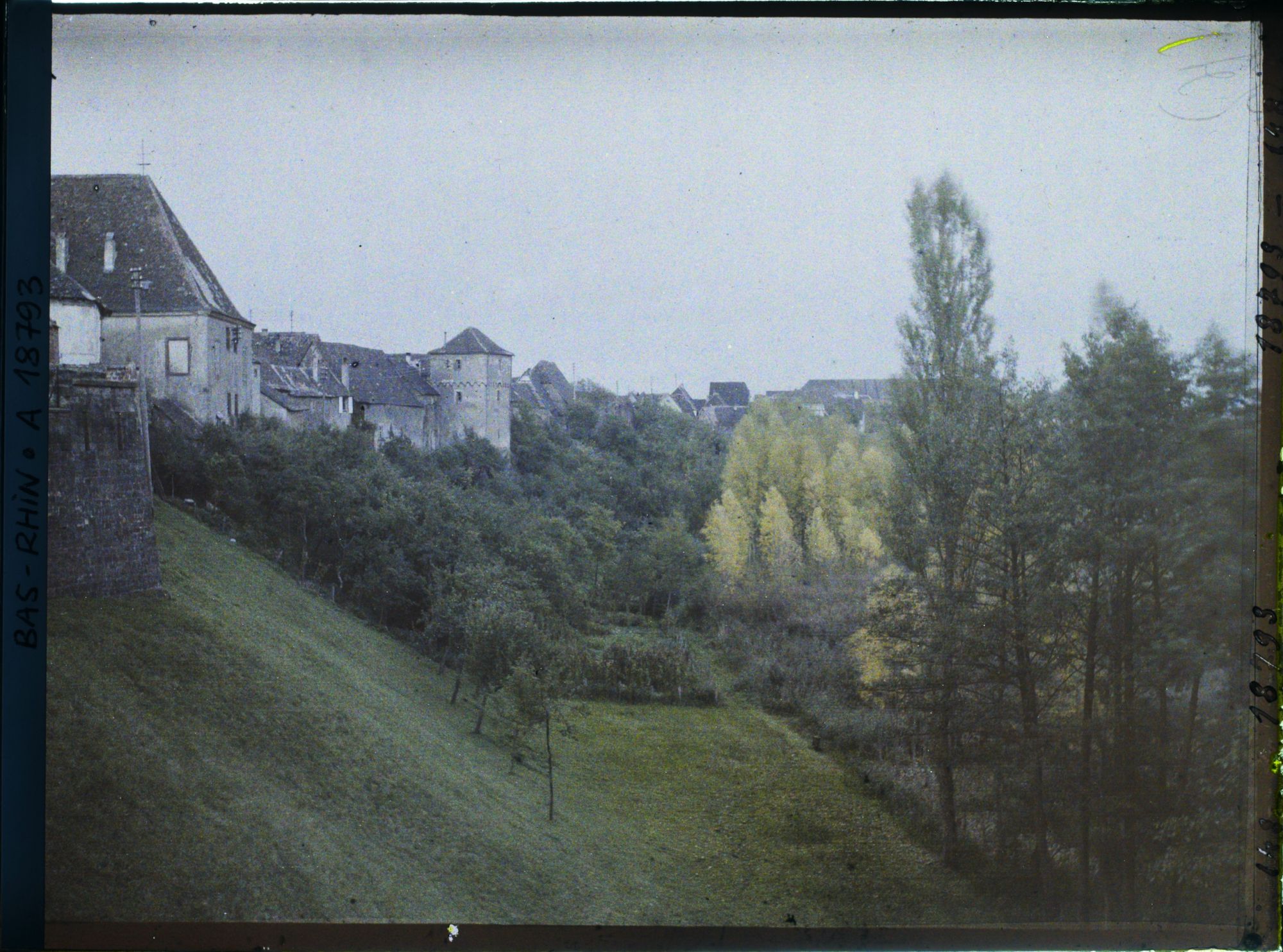 Image représentant France, Lauterbourg, Les fortifications et les arbres au dessus