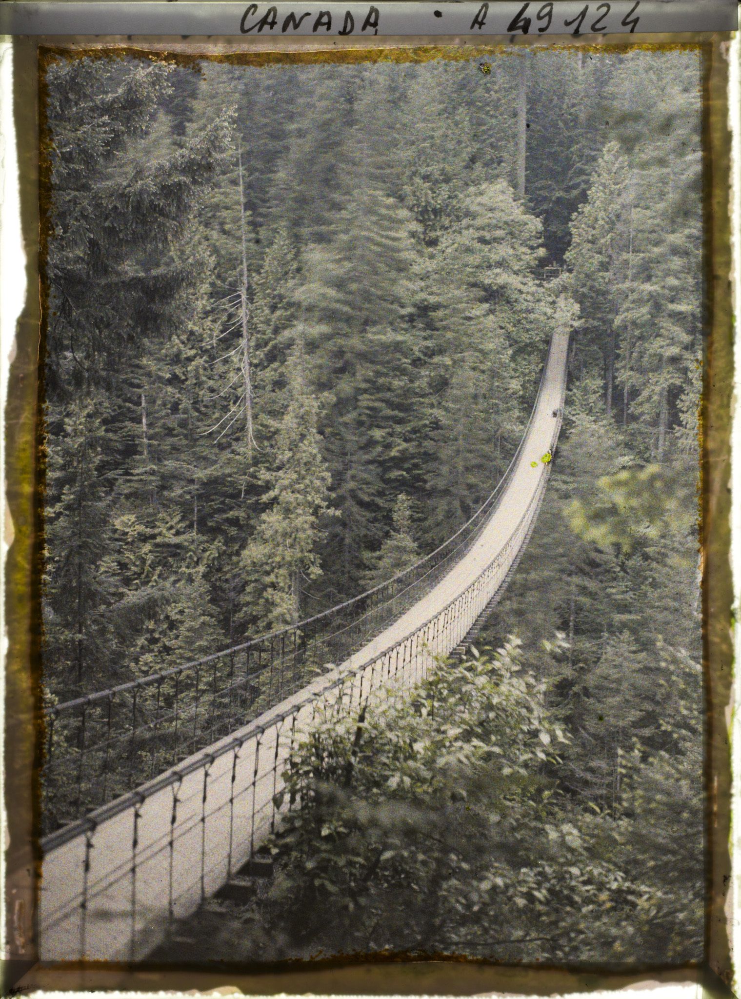 Image représentant Canada, Vancouver, Capilano Canyon- Le pont suspendu (200 pieds) 1er Canyon