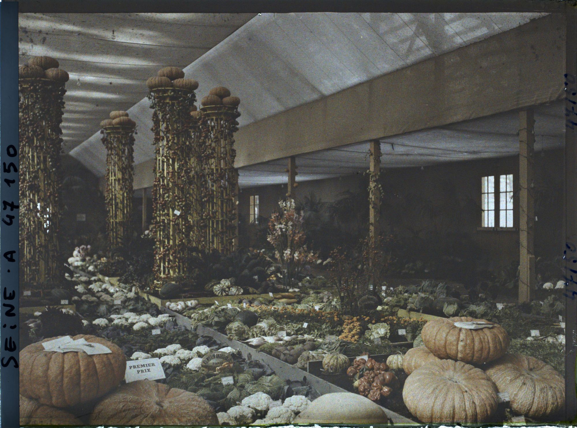 Image représentant L'Exposition des arts décoratifs, Pavillon de l'horticulture