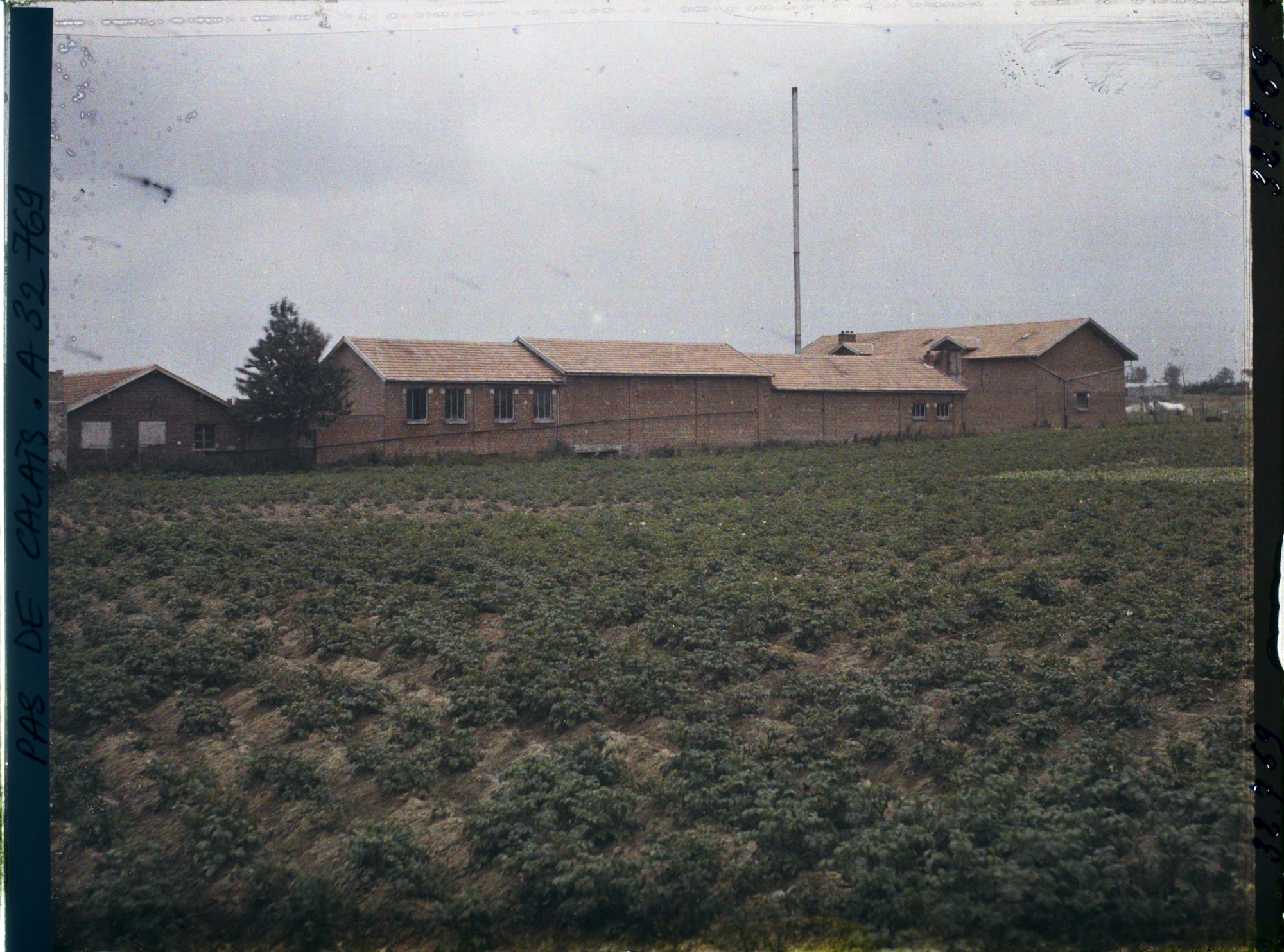 Image représentant France, Achiet, Une laiterie et un Champ de pommes de terres