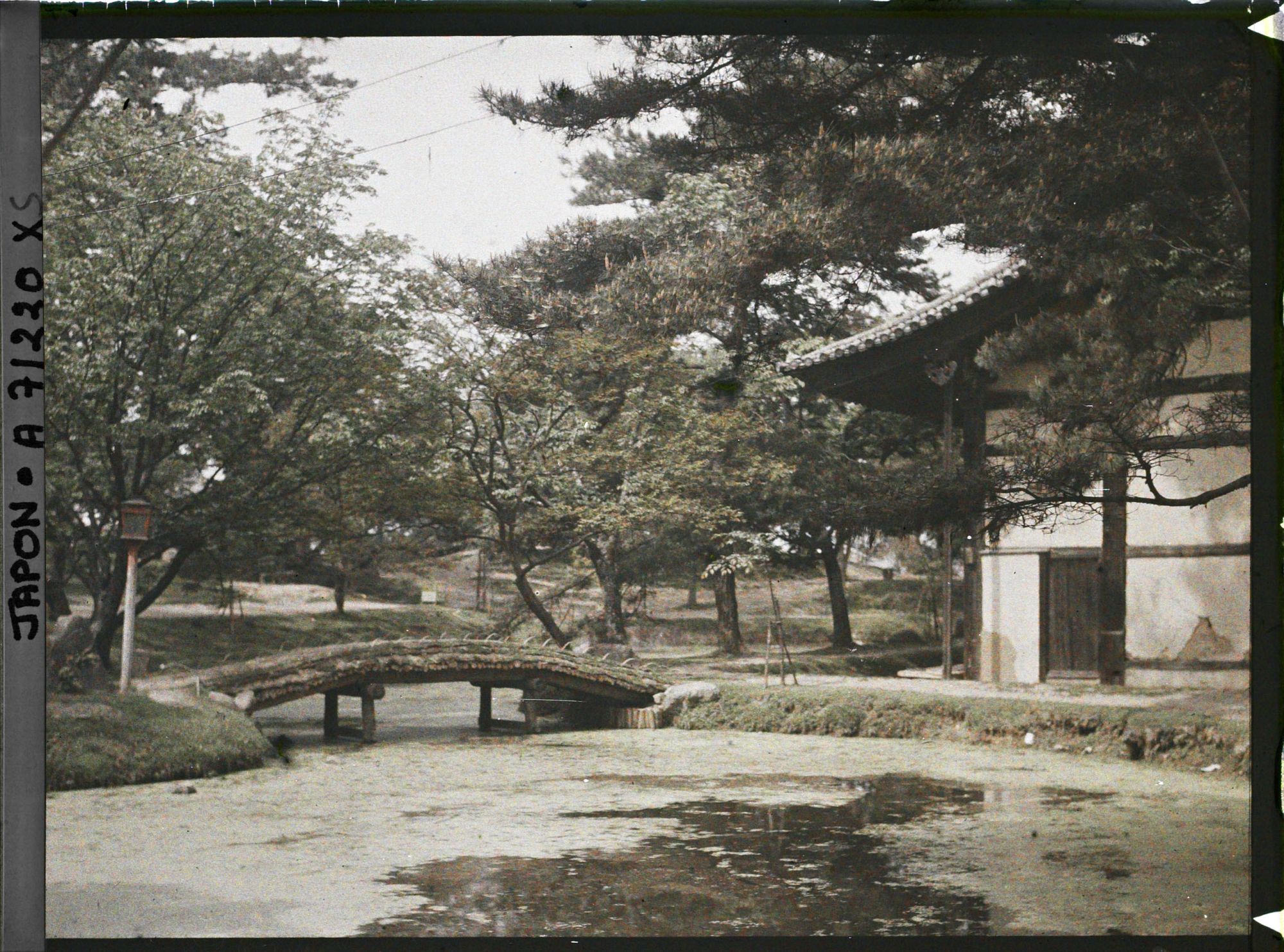Image représentant jardin japonais